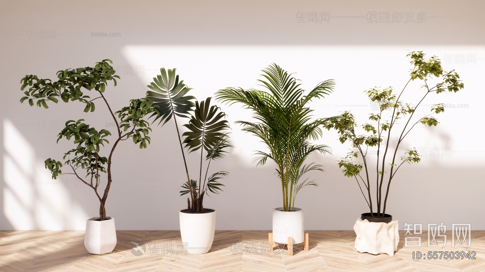 Modern Ground Green Plant Potted Plants