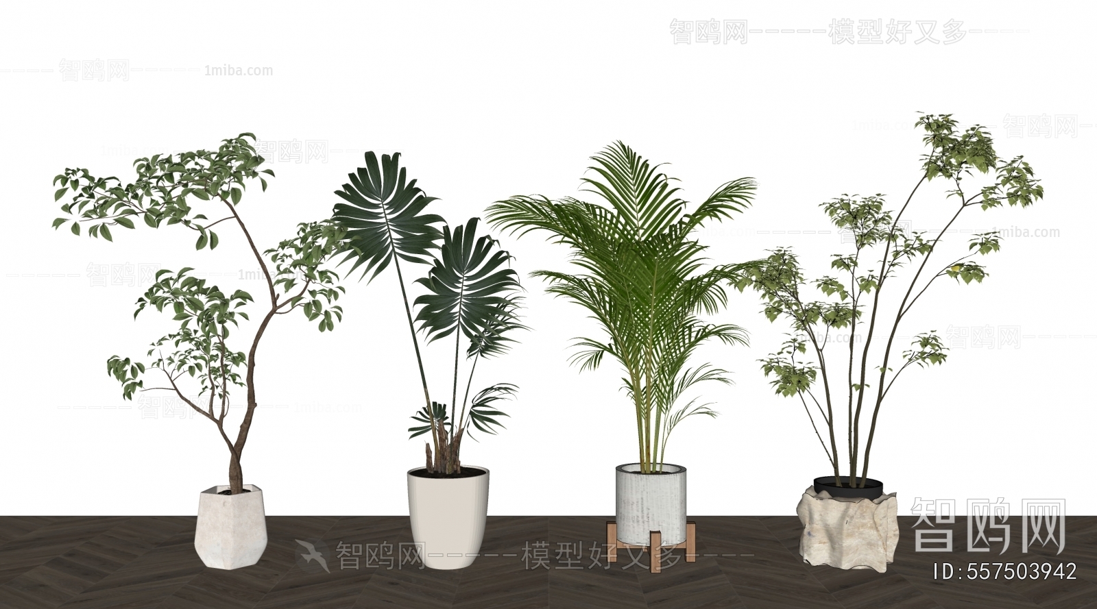 Modern Ground Green Plant Potted Plants