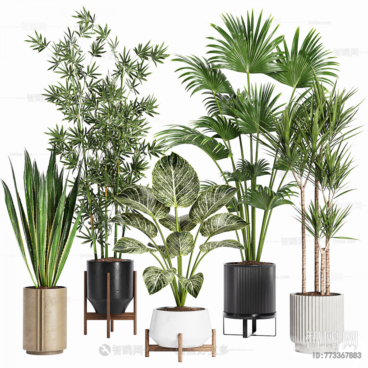 Modern Ground Green Plant Potted Plants