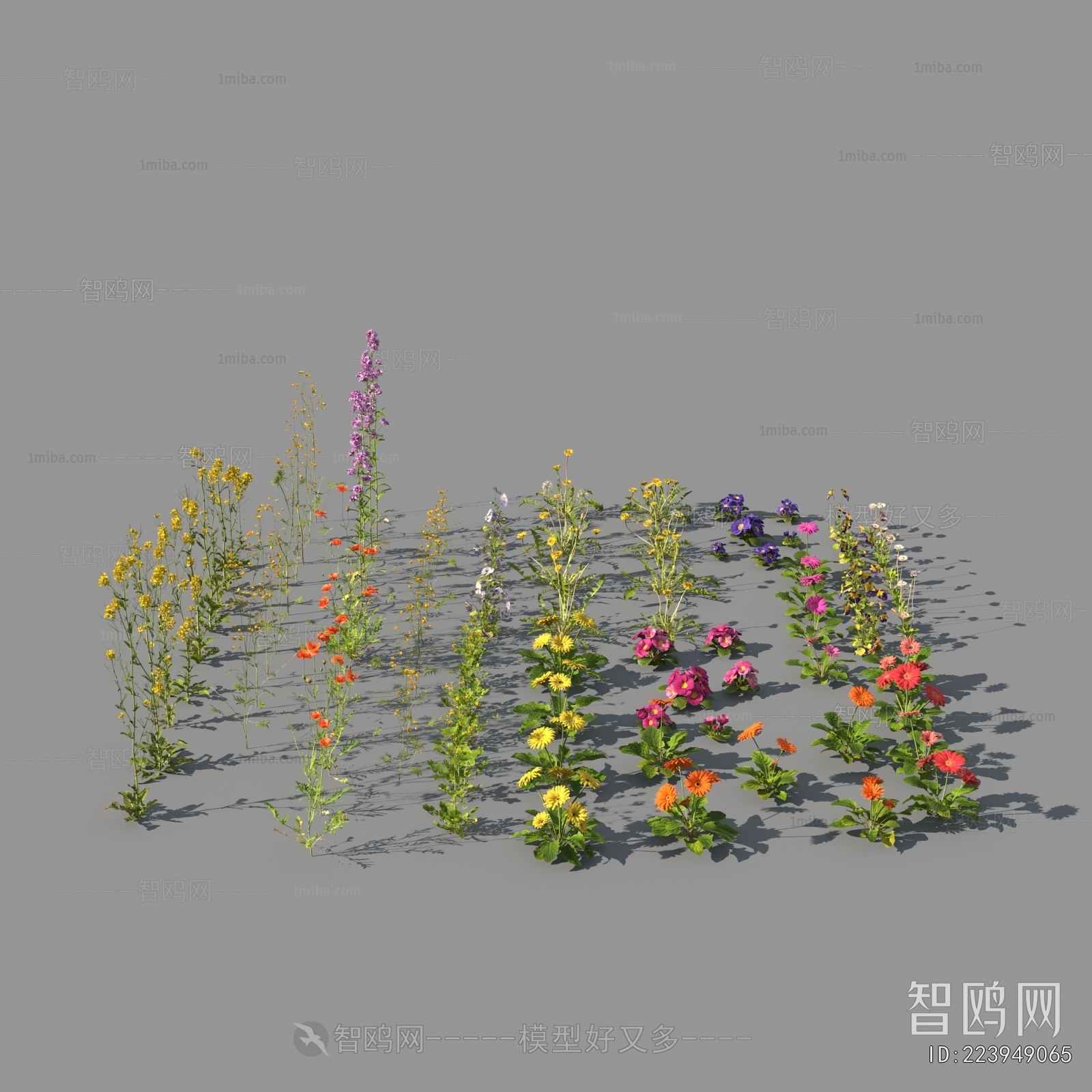 现代花草