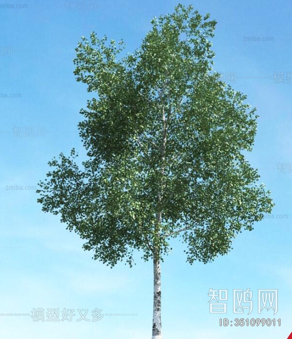 Modern Tree