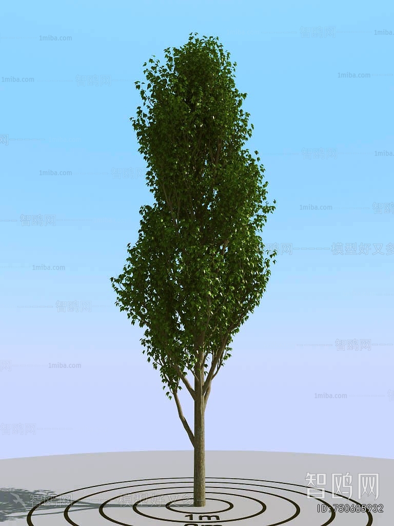 Modern Tree