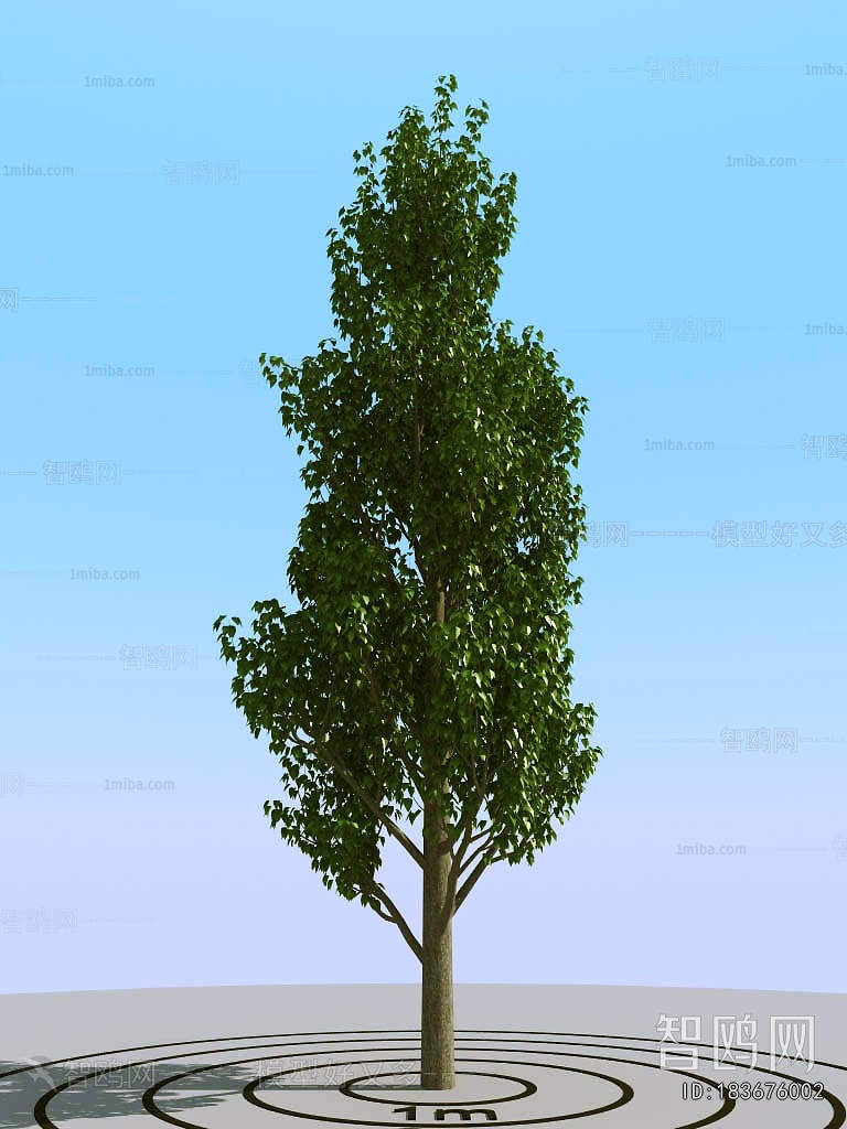 Modern Tree