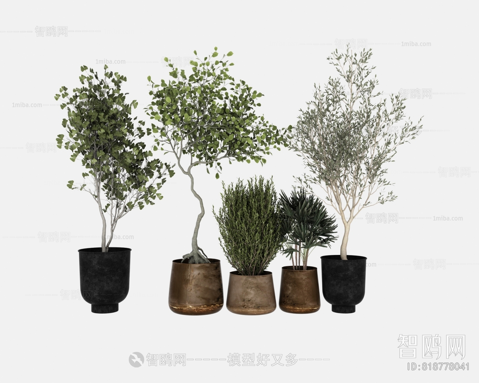 Wabi-sabi Style Ground Green Plant Potted Plants