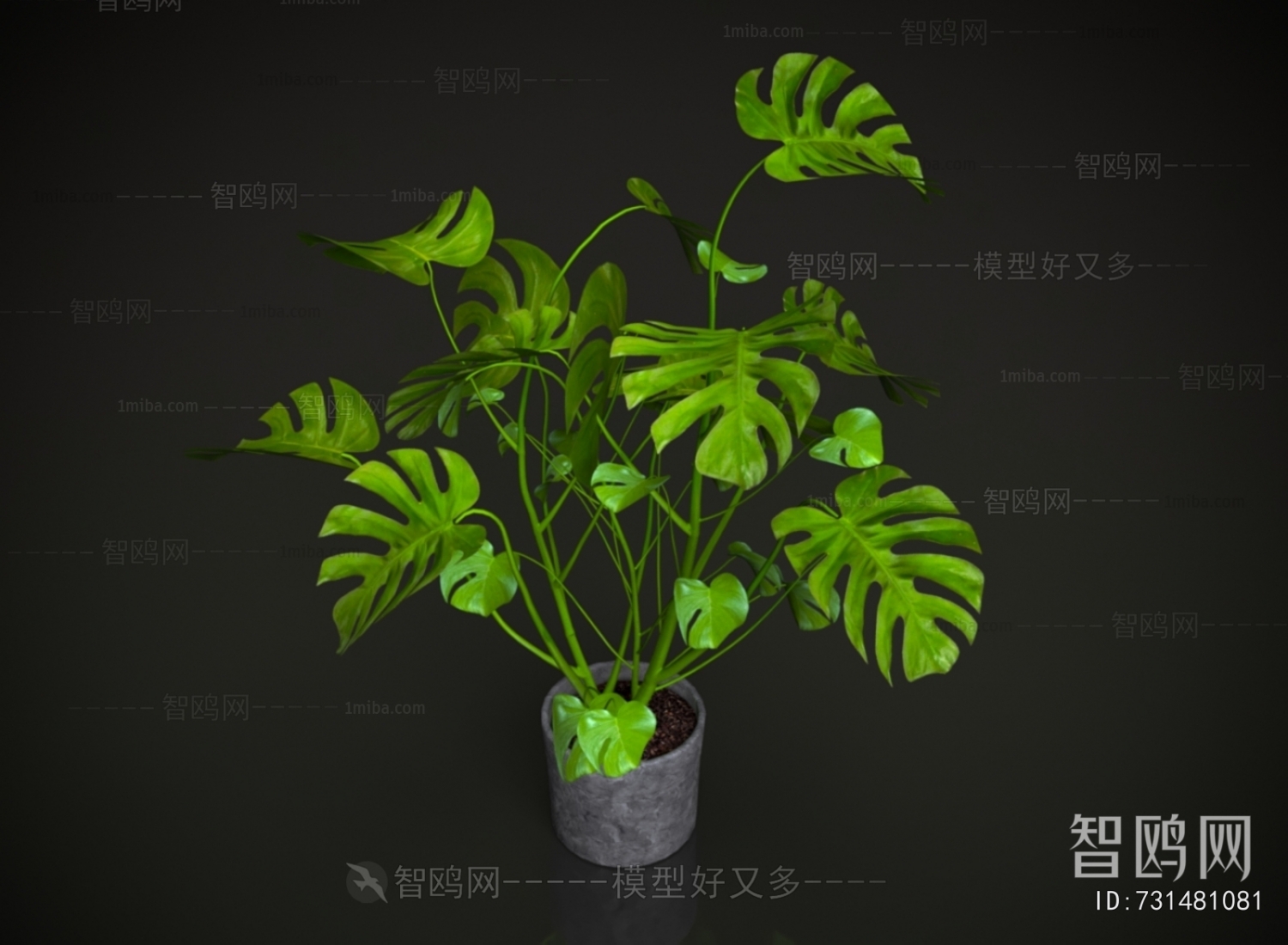 Modern Ground Green Plant Potted Plants