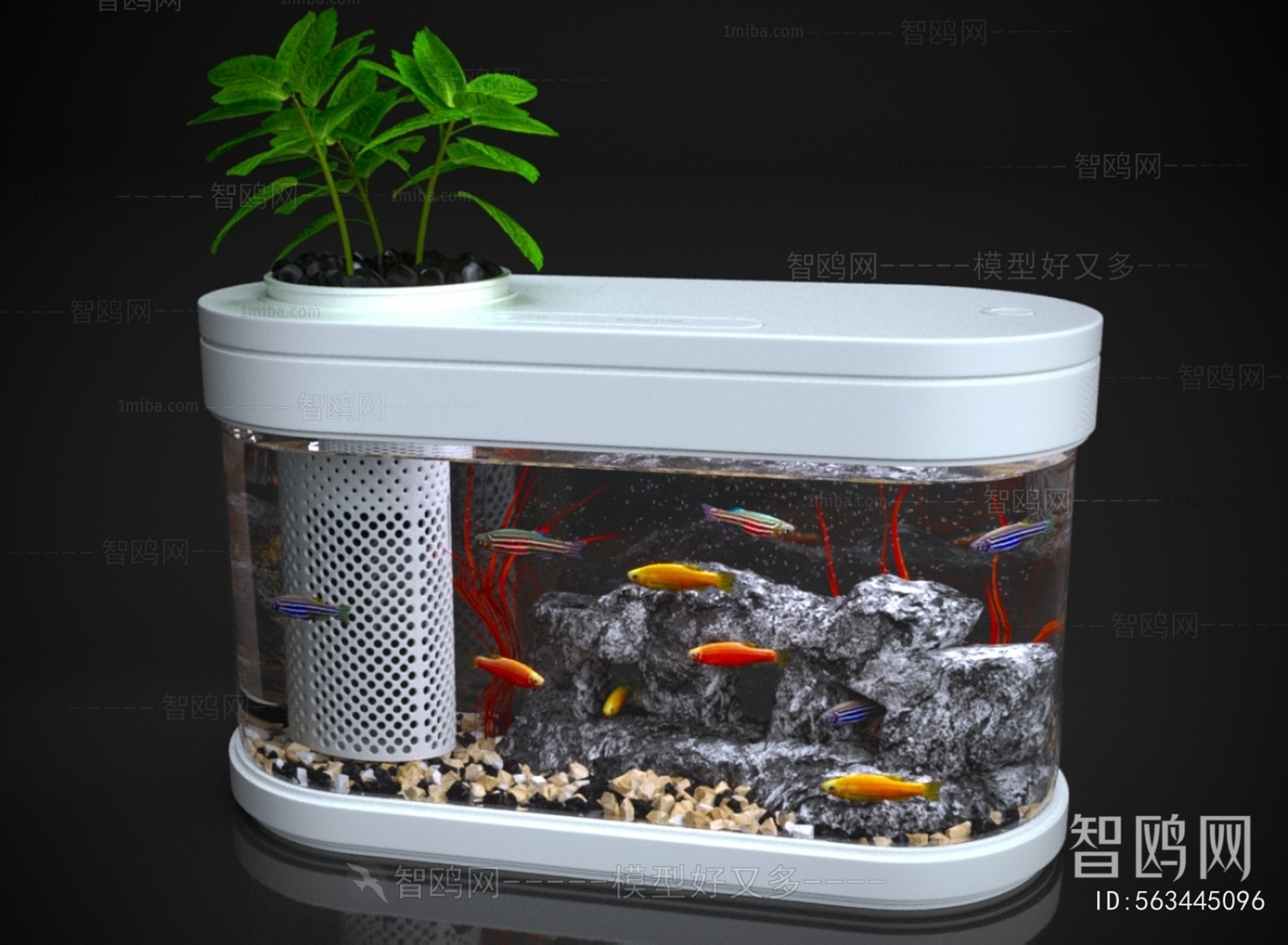 Modern Fish Tank