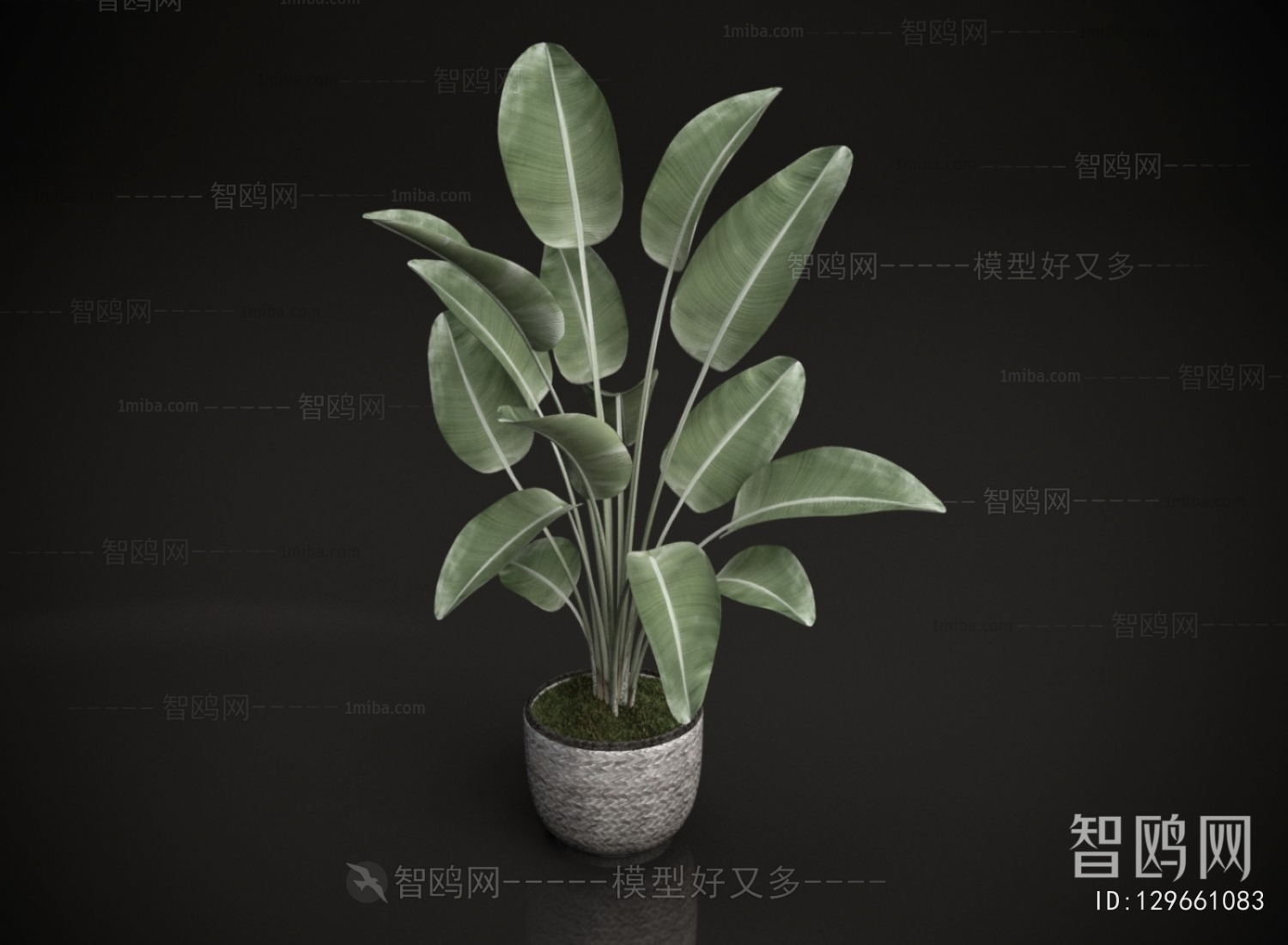 Modern Ground Green Plant Potted Plants