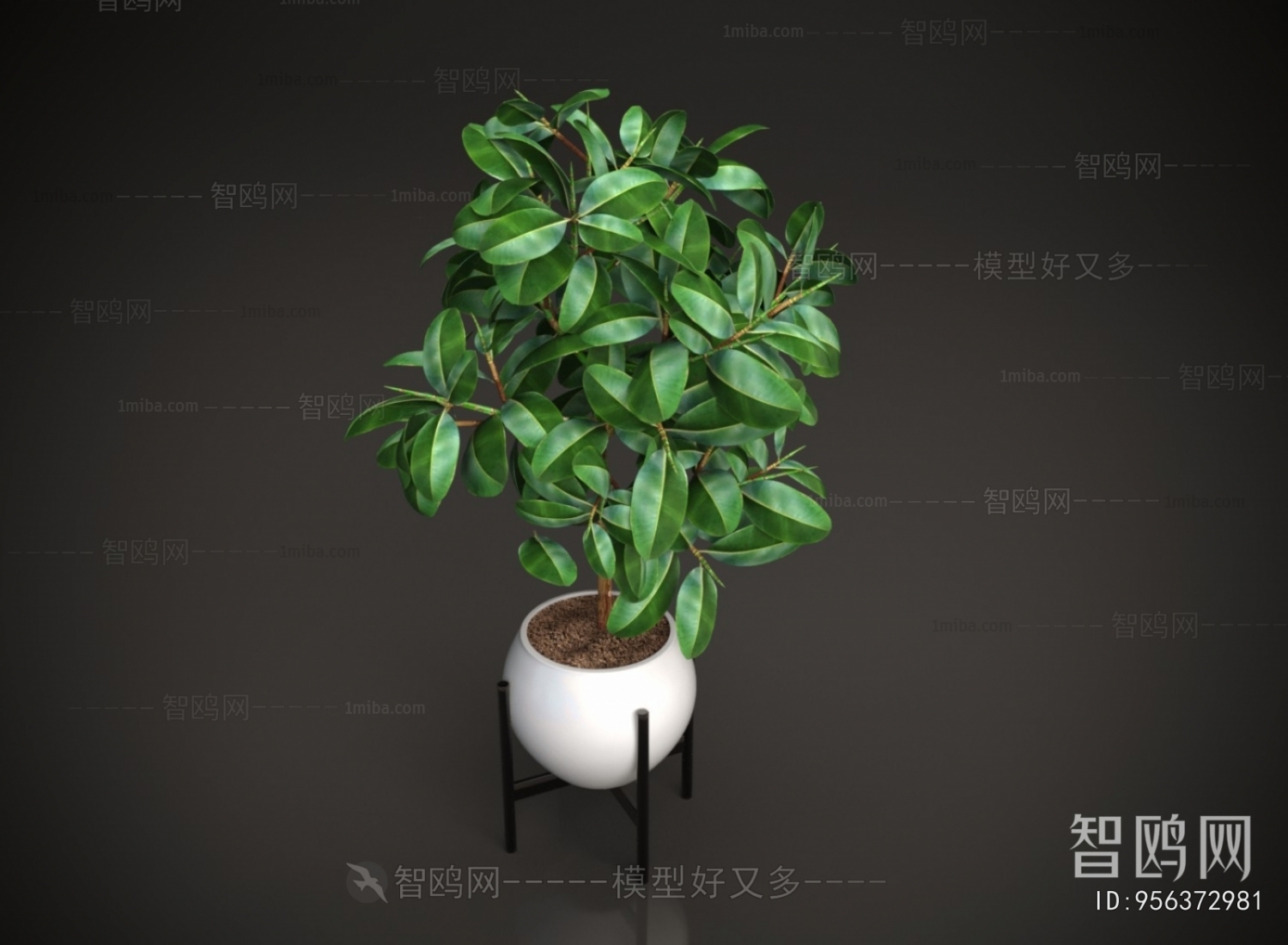 Modern Ground Green Plant Potted Plants