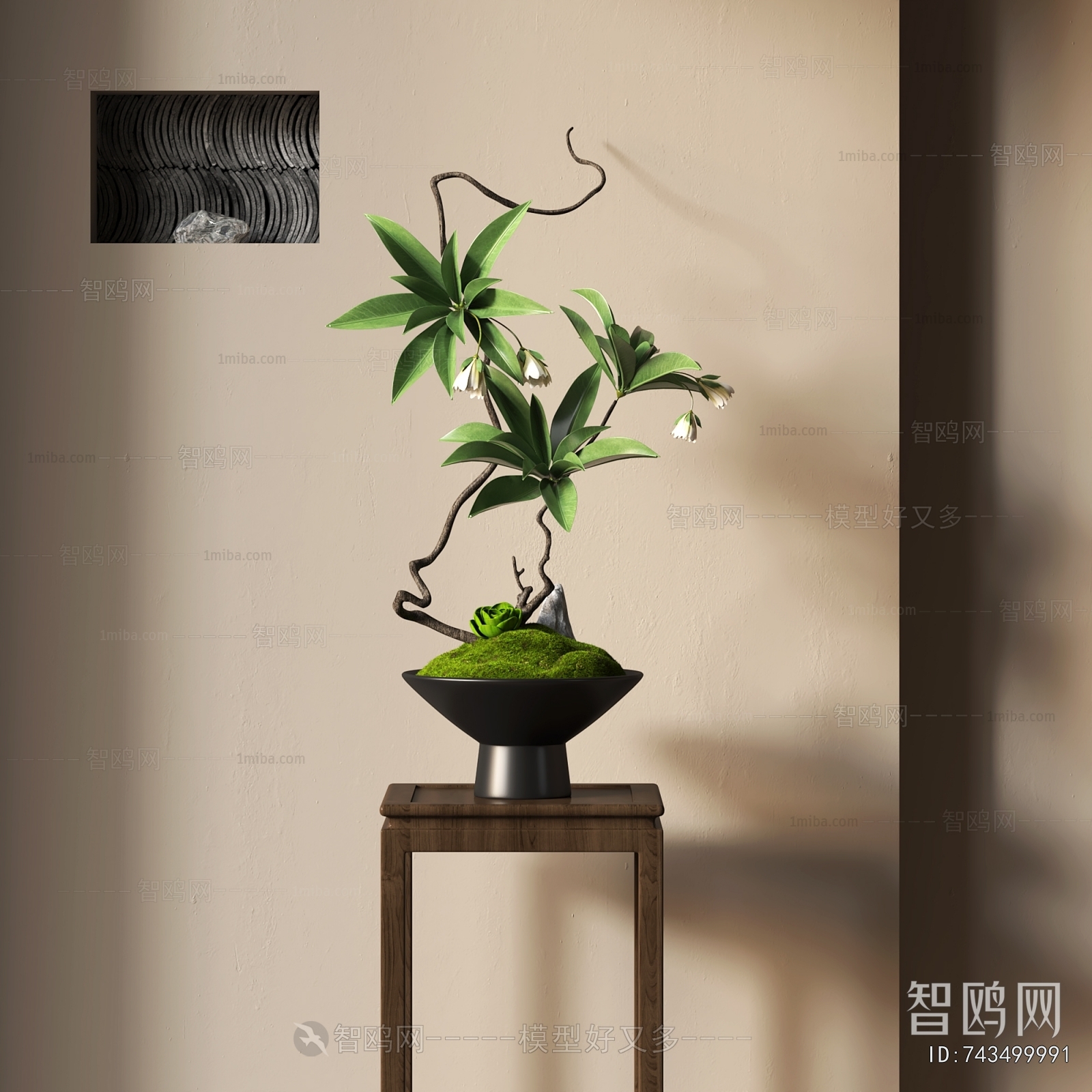 Wabi-sabi Style Bonsai