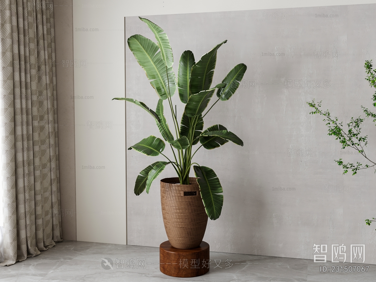 Modern Ground Green Plant Potted Plants