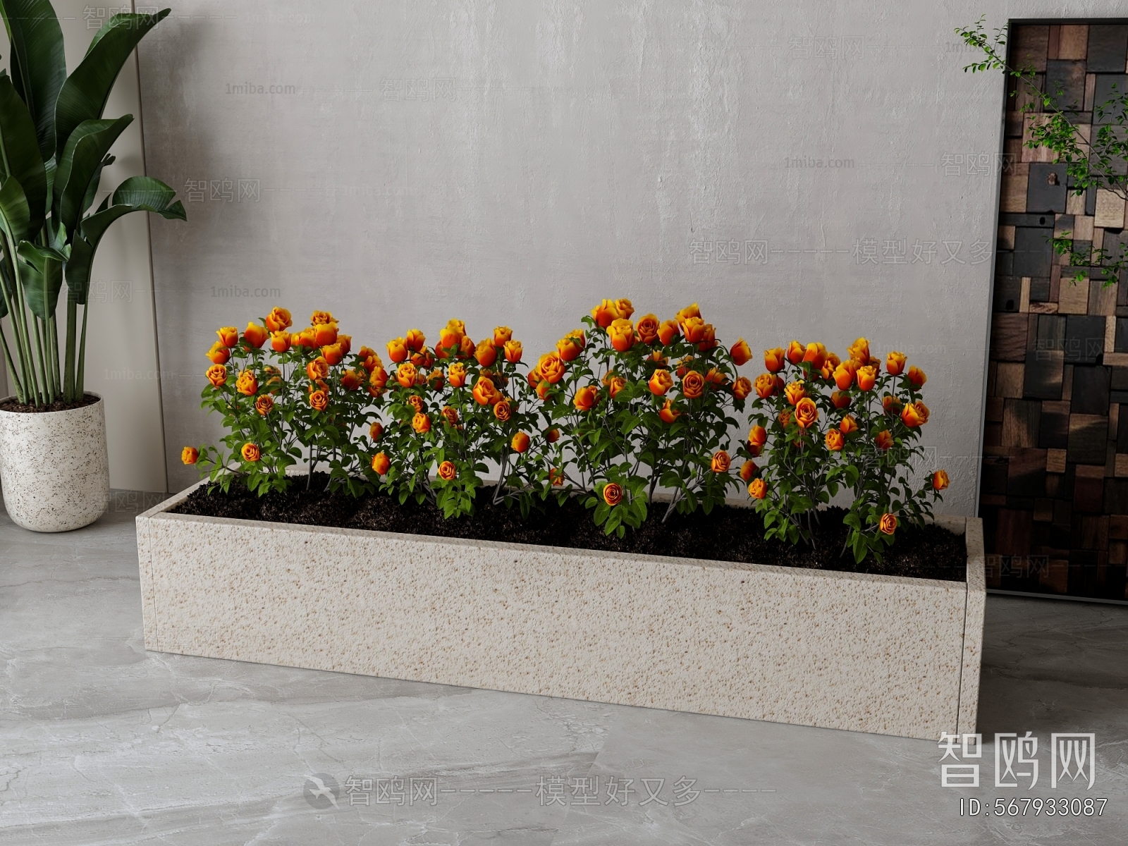 Modern Flower Bed, Flower Bowl, Flower Box