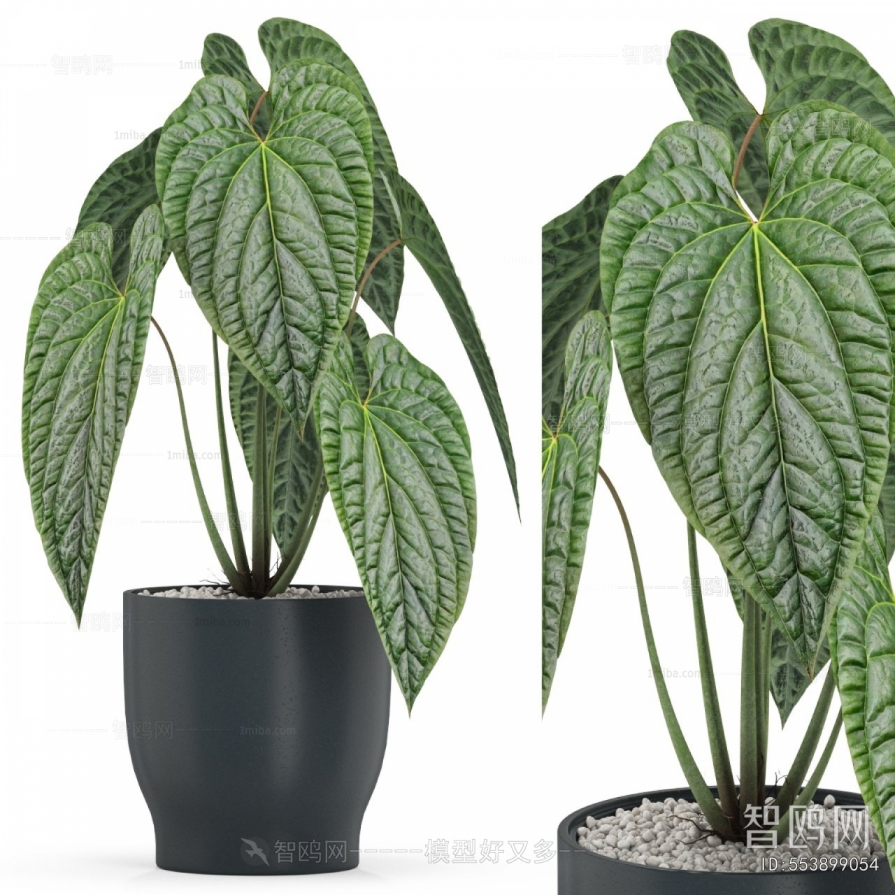 Modern Ground Green Plant Potted Plants