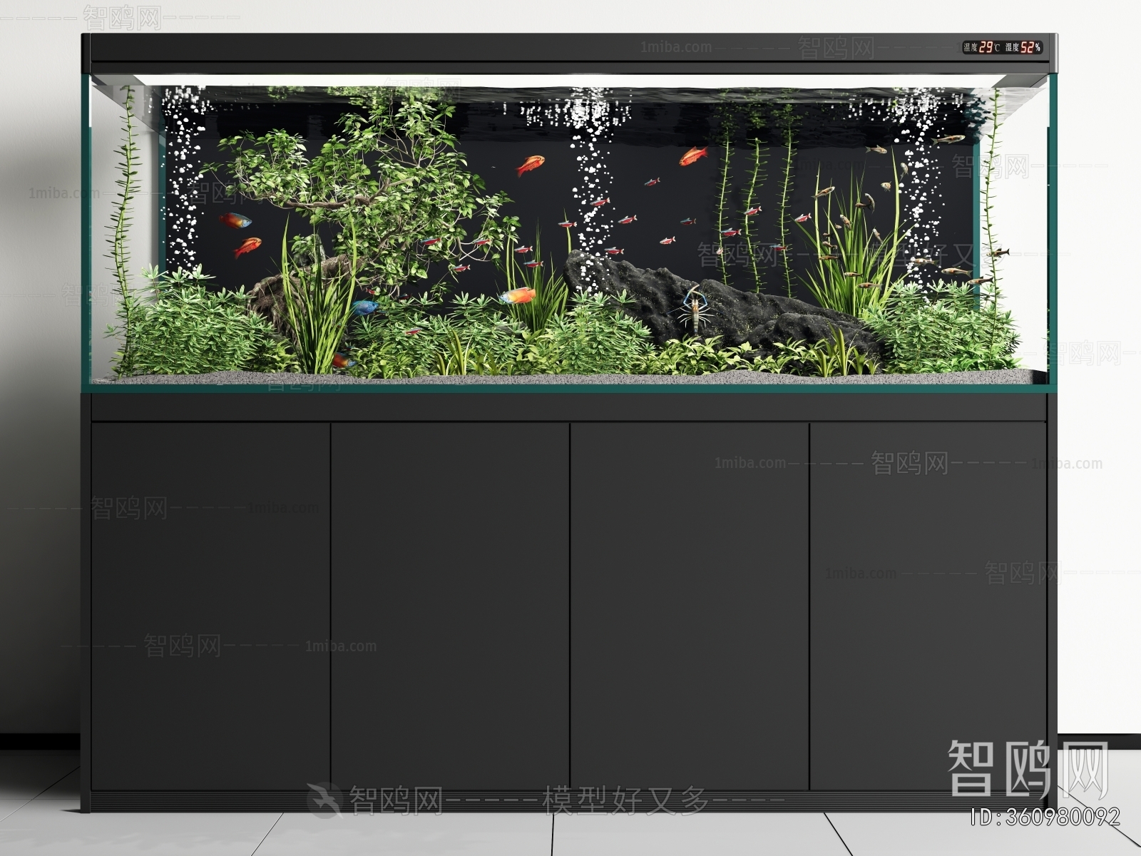 Modern Fish Tank