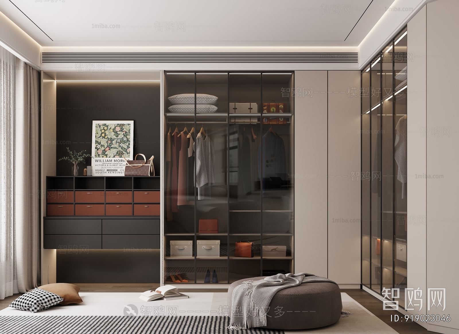 Modern Clothes Storage Area