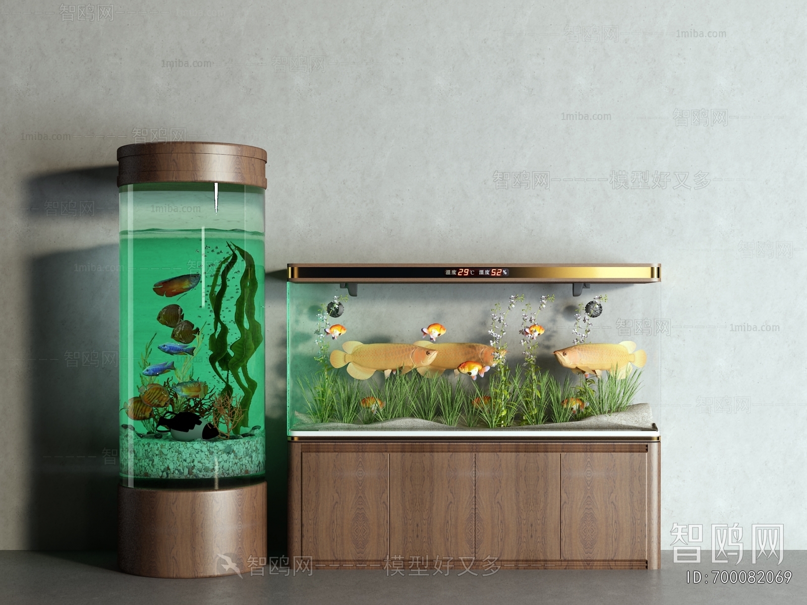 Modern Fish Tank