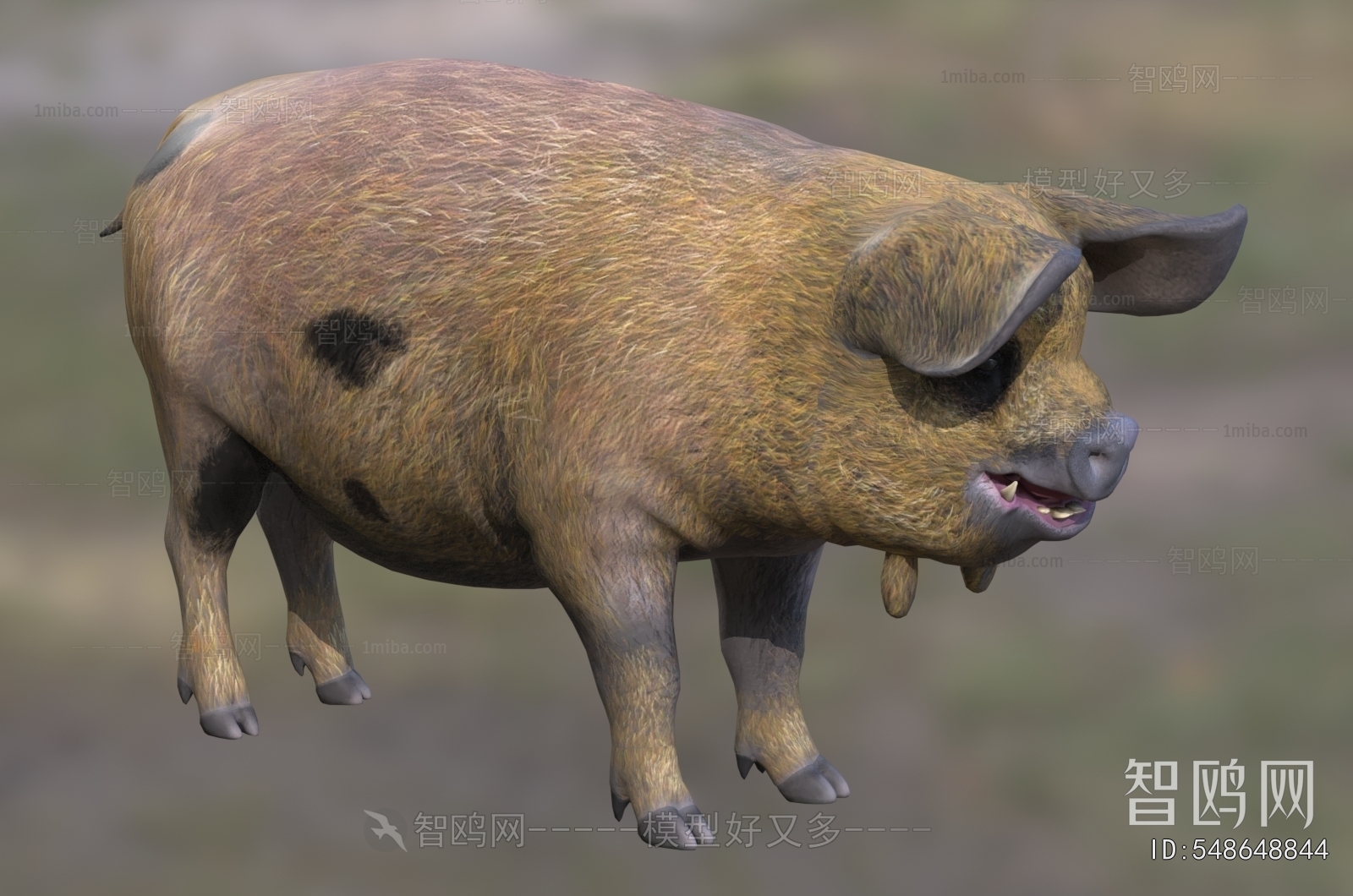 Modern Animal Pig