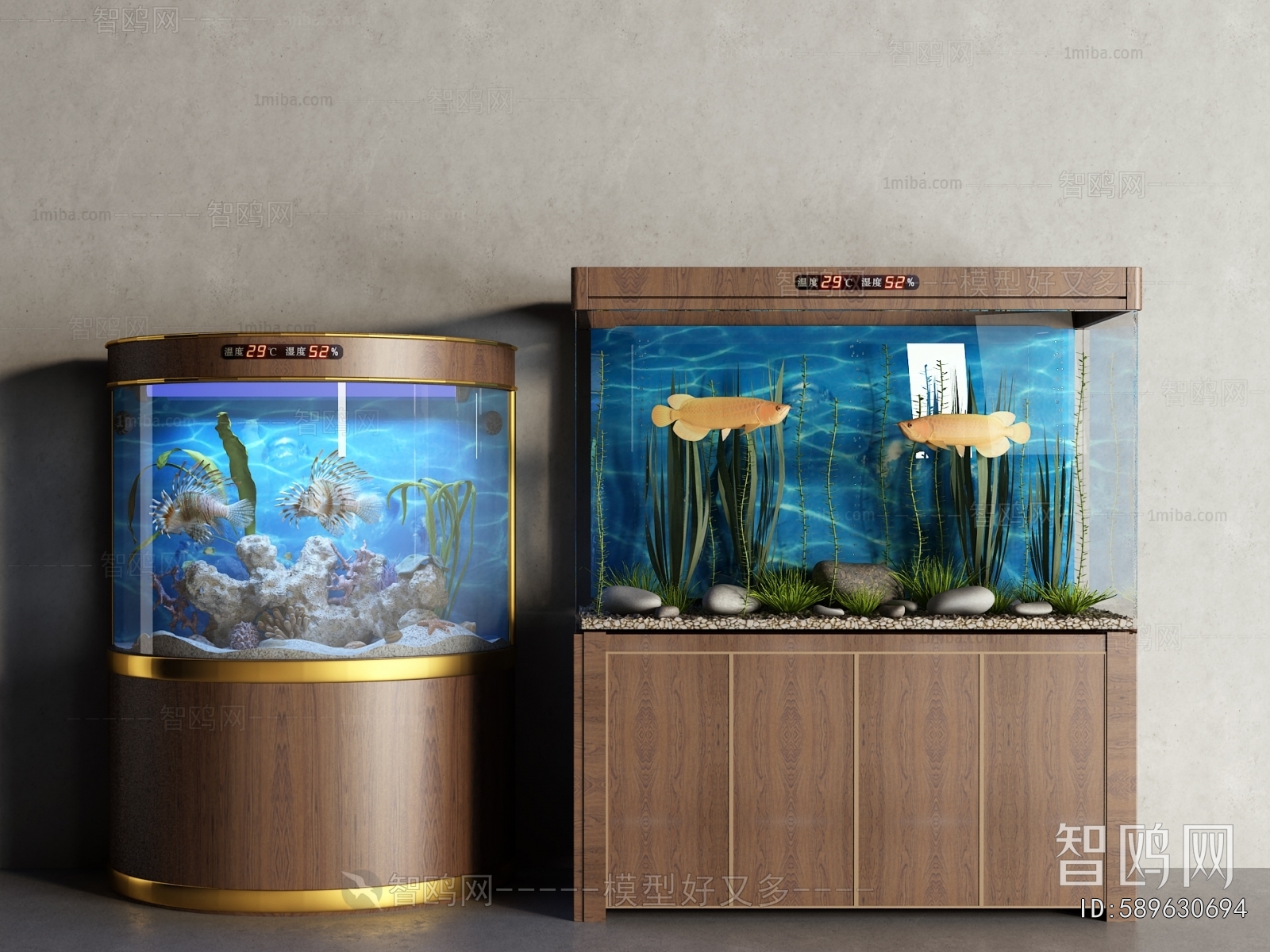 Modern Fish Tank