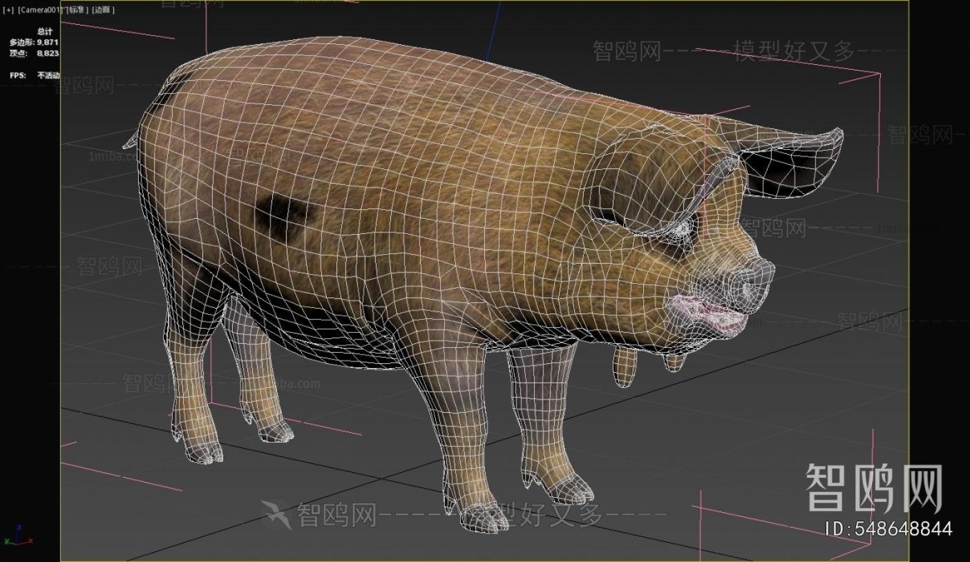 Modern Animal Pig