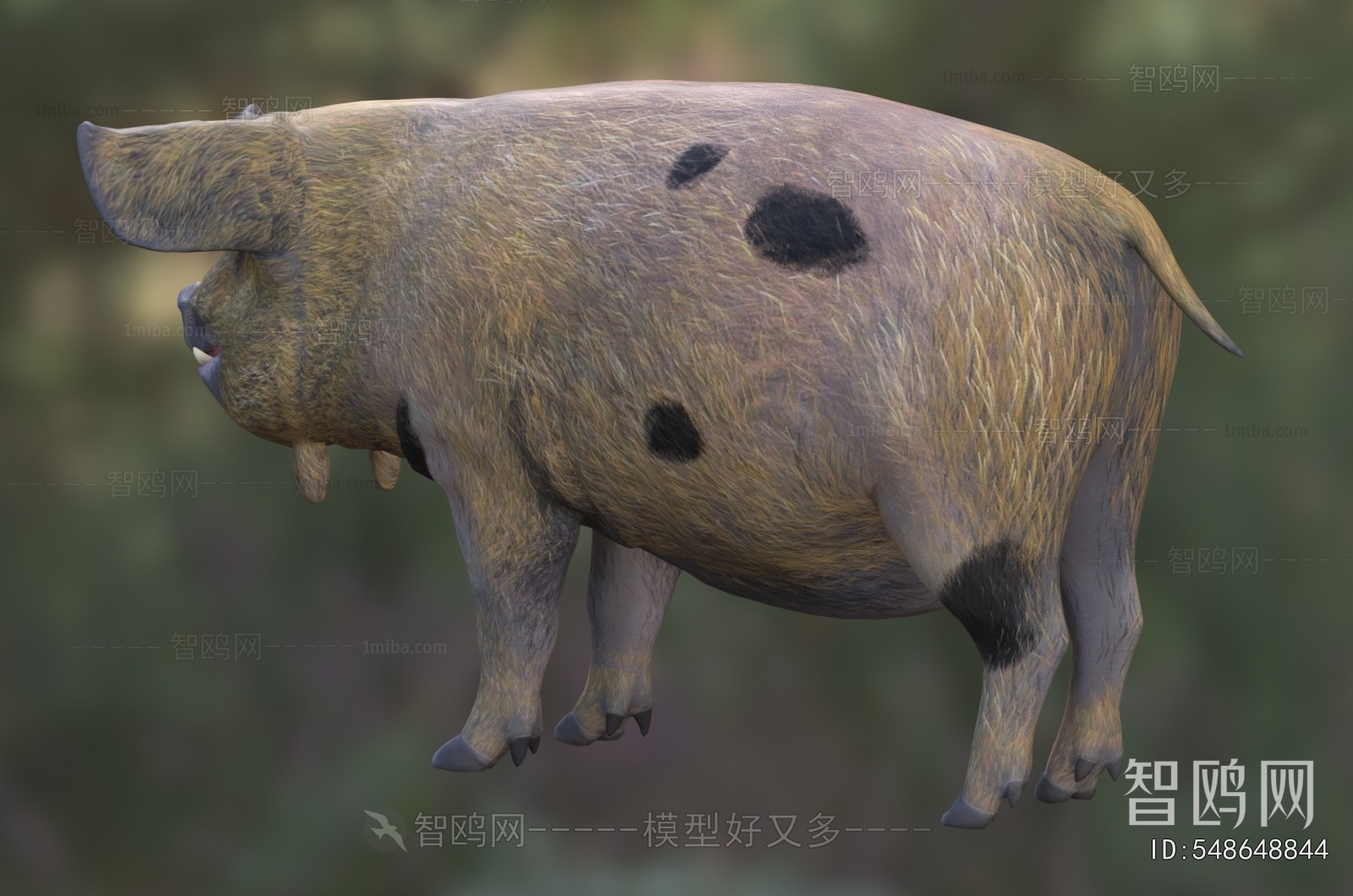 Modern Animal Pig