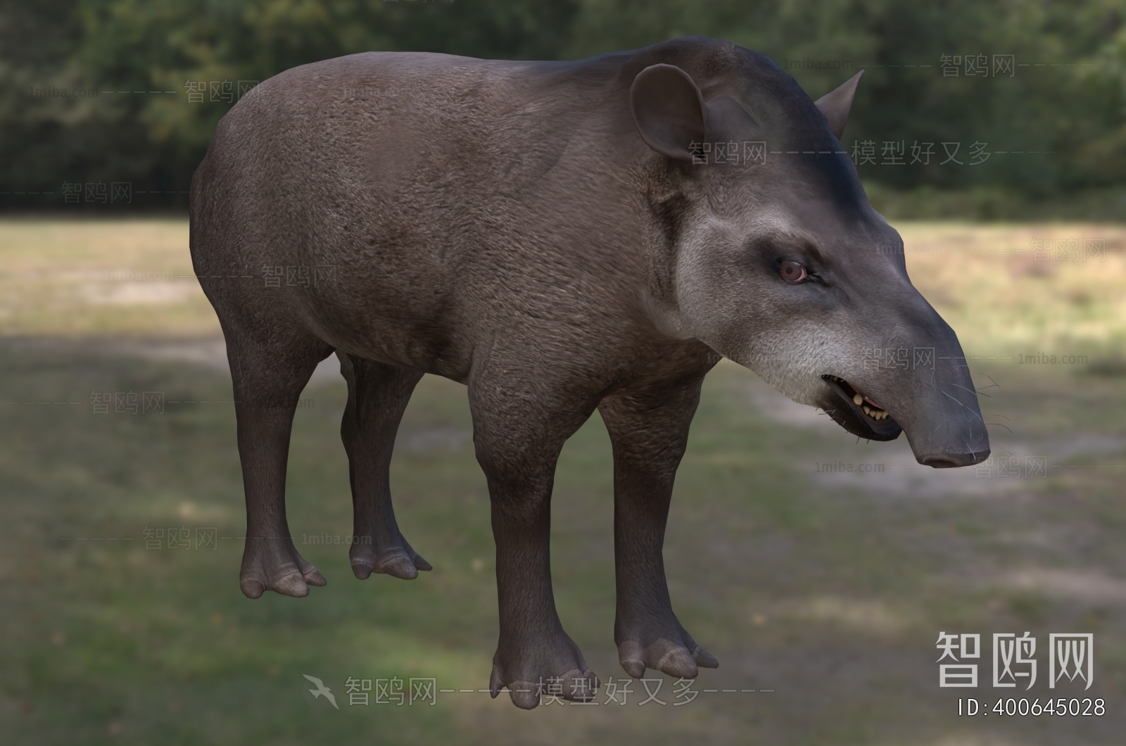 Modern Mammal