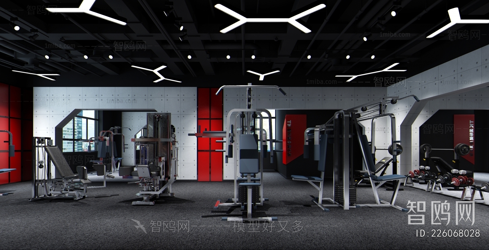 Industrial Style Gym