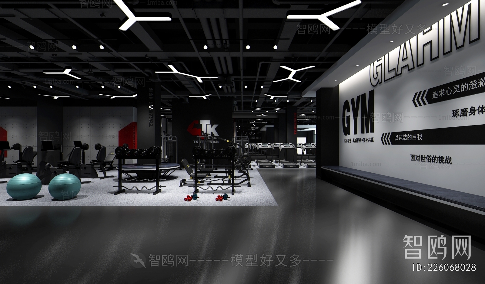 Industrial Style Gym