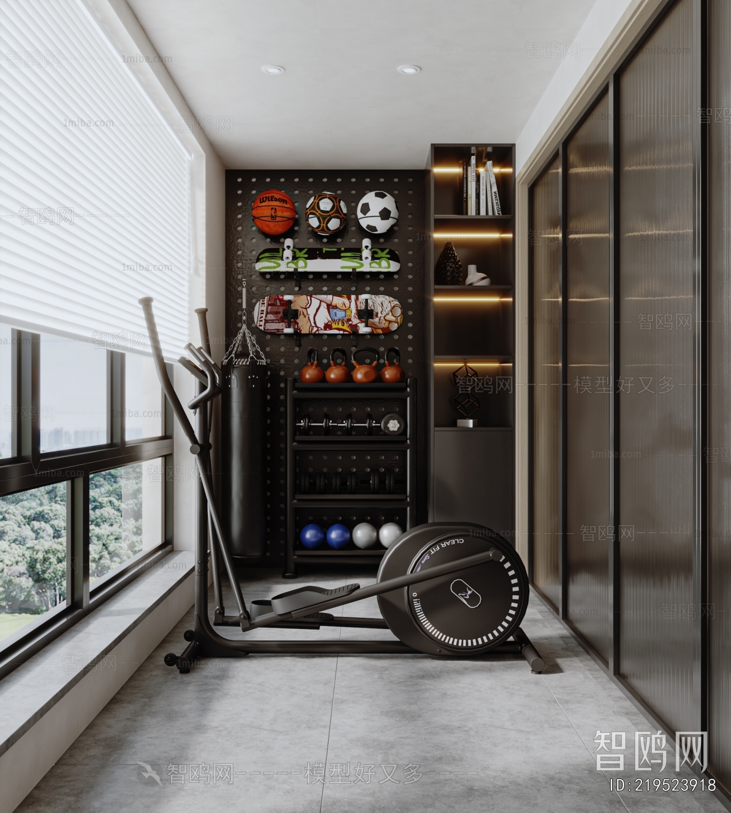 Modern Home Fitness Room