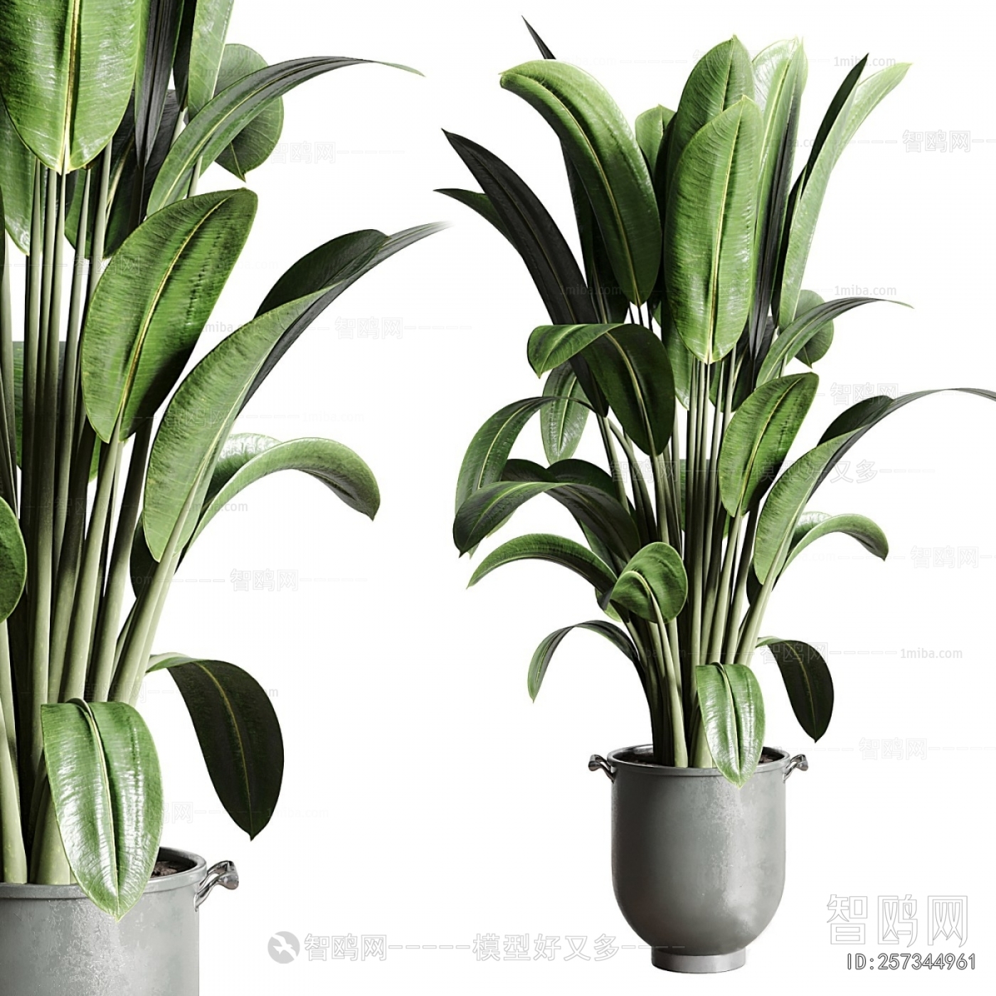 Modern Ground Green Plant Potted Plants