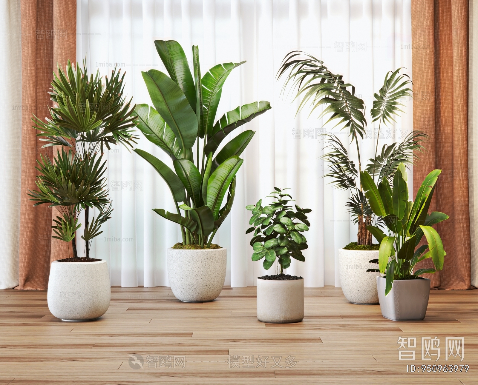 Modern Ground Green Plant Potted Plants