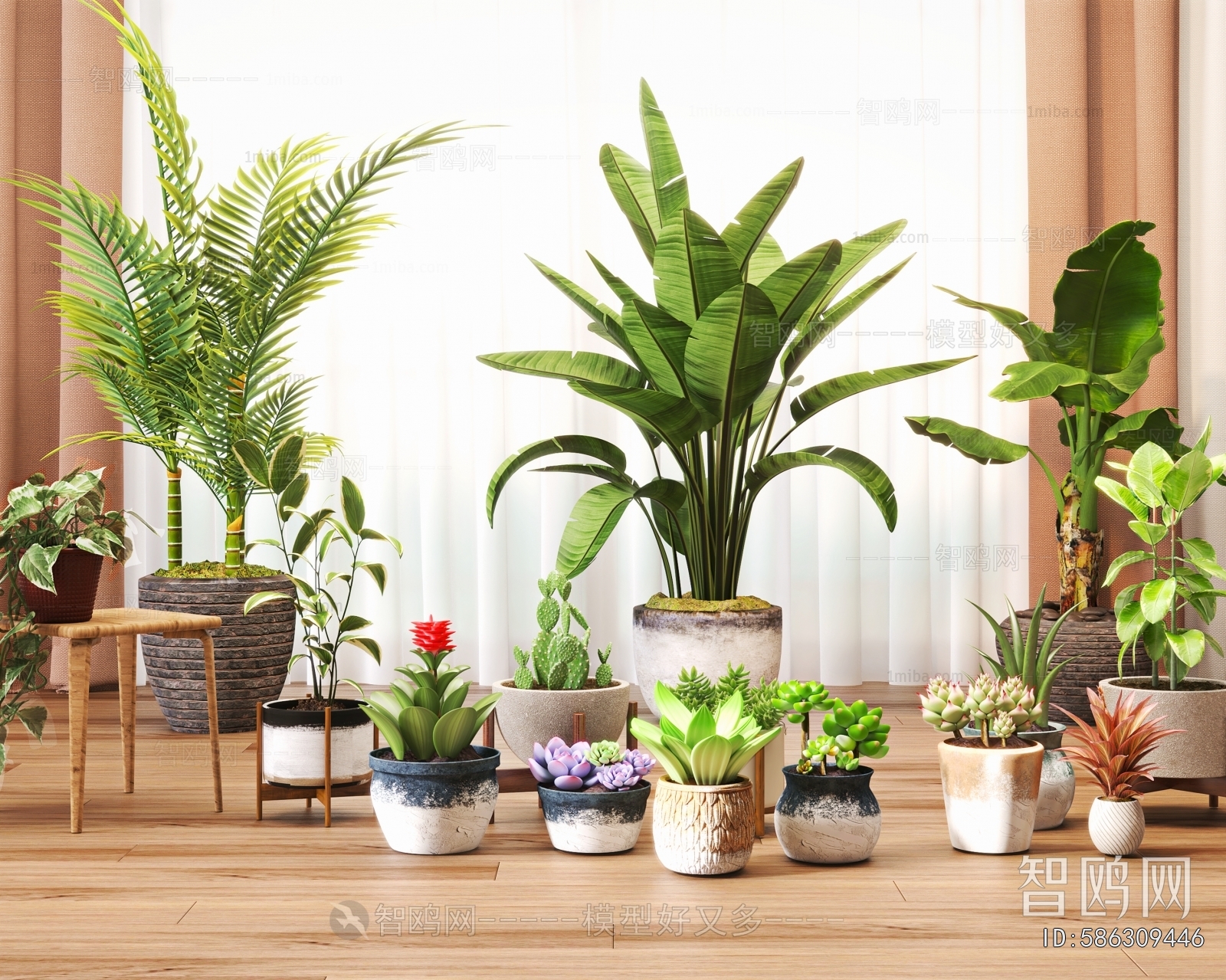 Modern Ground Green Plant Potted Plants