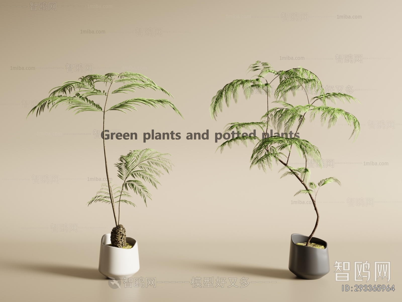 Modern Ground Green Plant Potted Plants