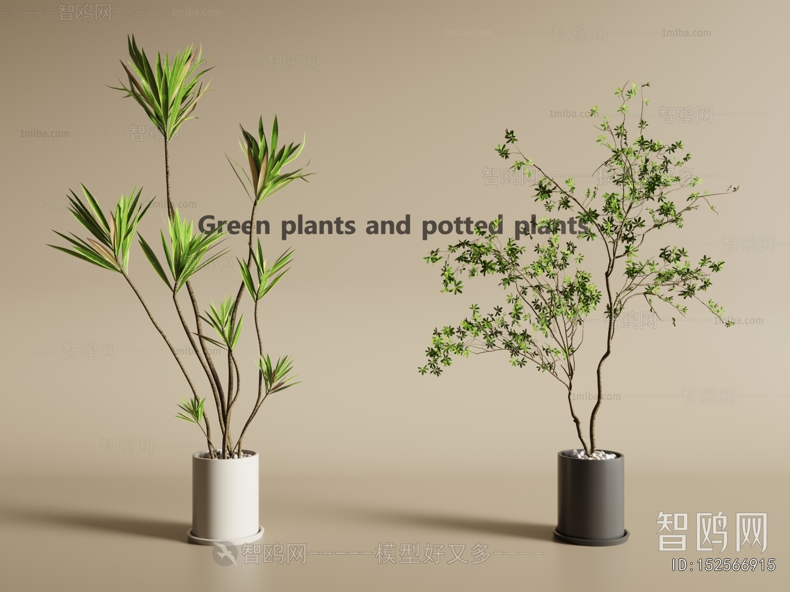 Modern Ground Green Plant Potted Plants