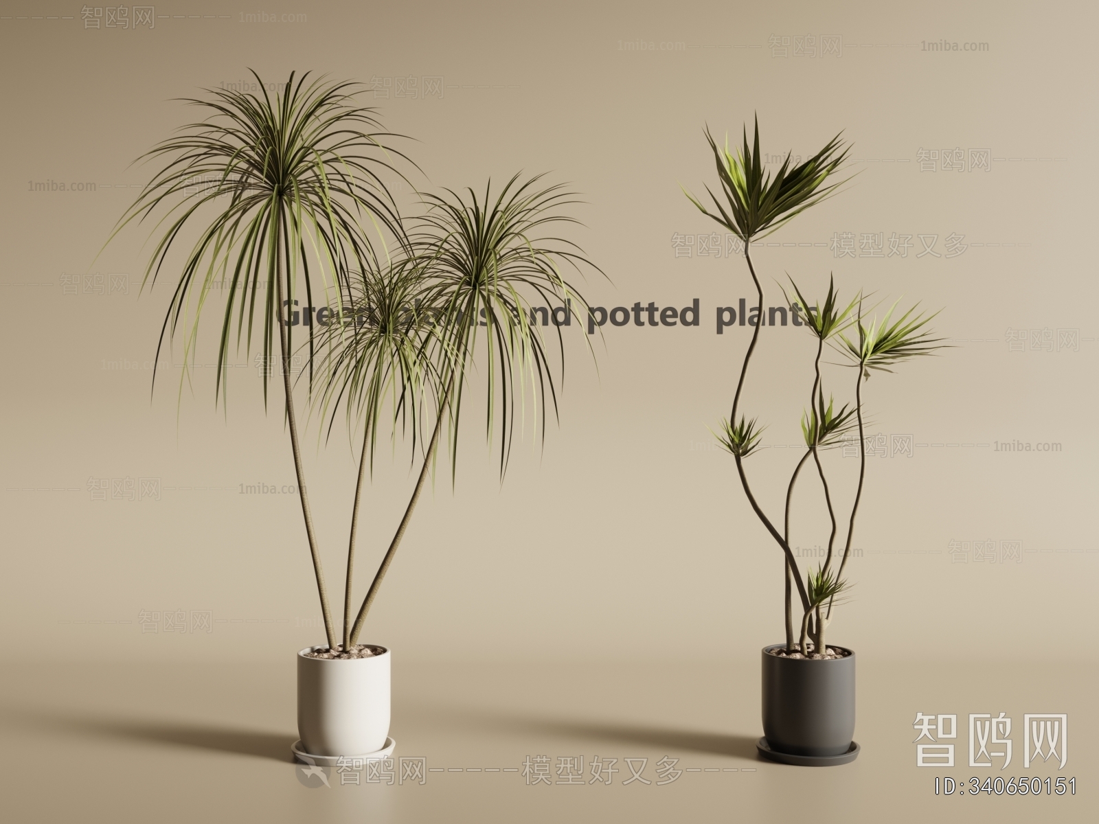 Modern Ground Green Plant Potted Plants