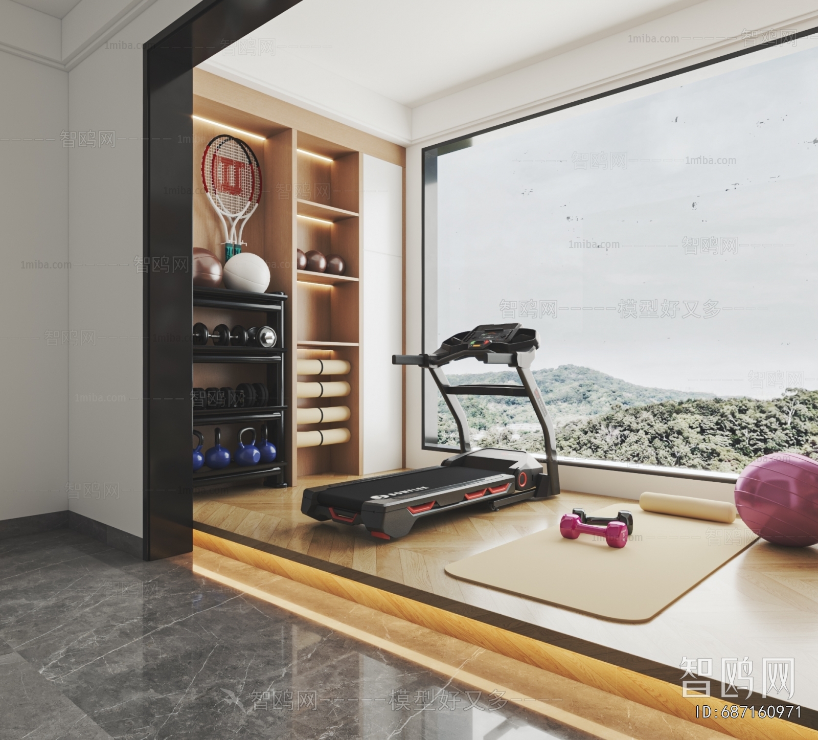 Modern Home Fitness Room