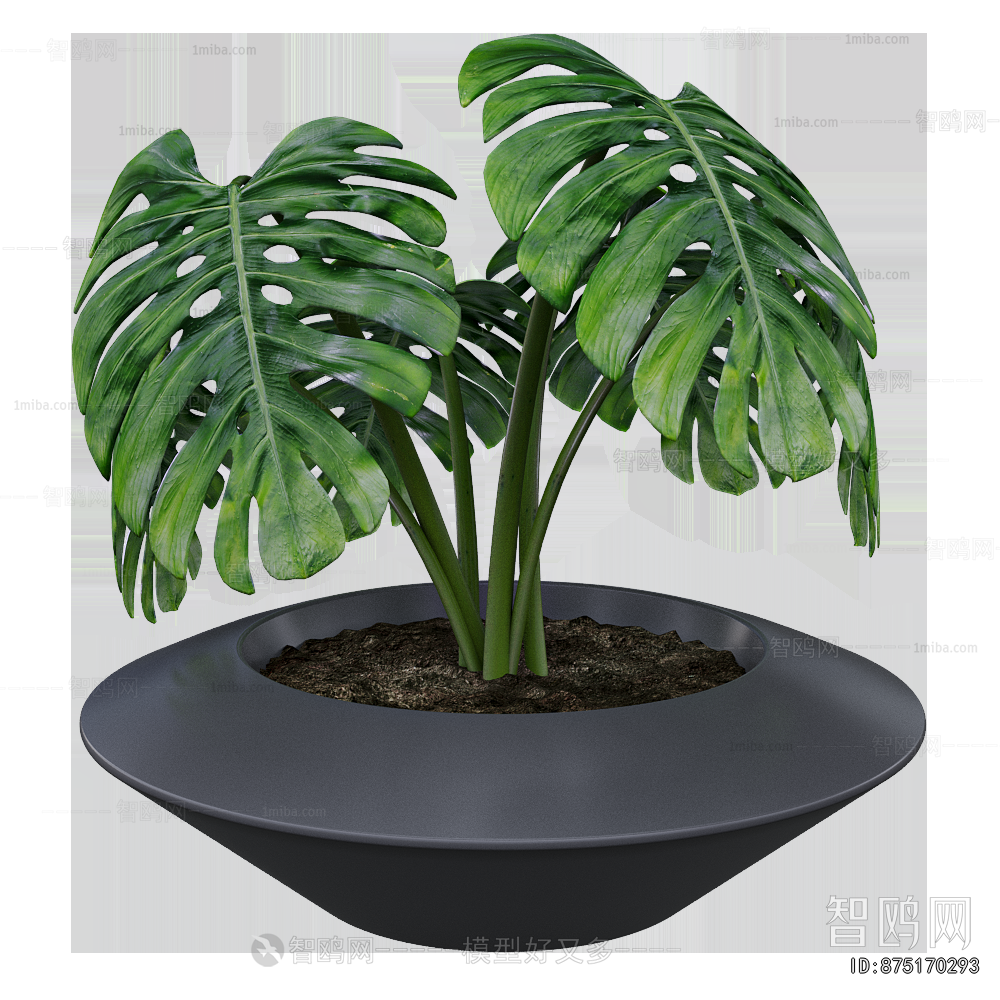 Modern Potted Green Plant