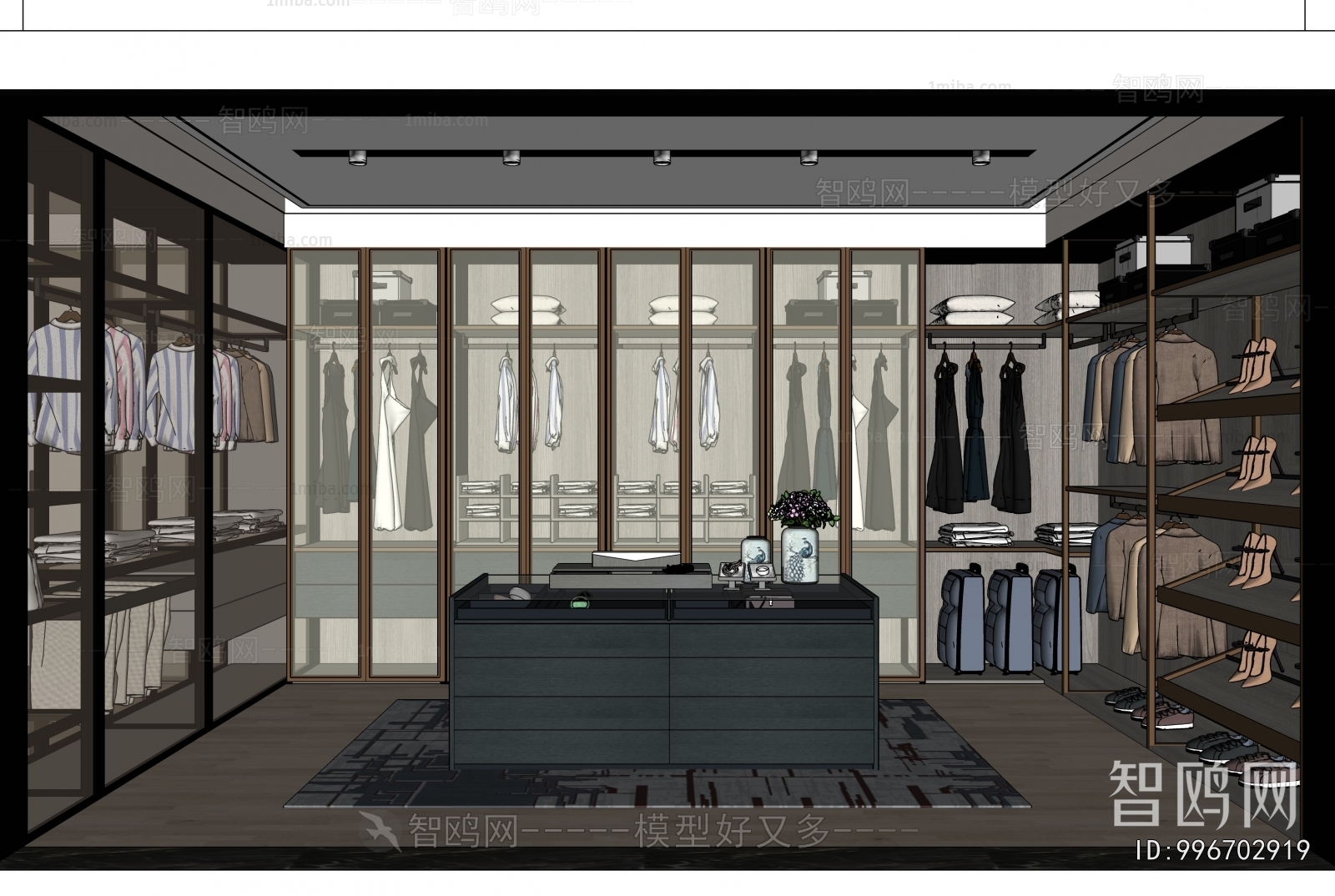 Modern Clothes Storage Area