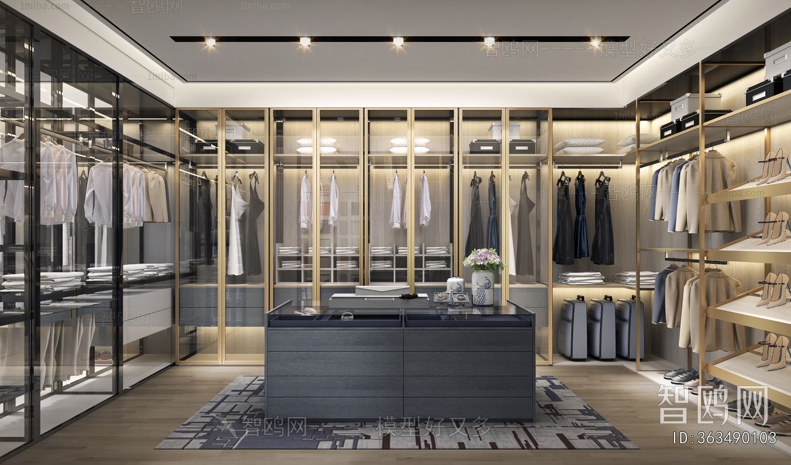 Modern Clothes Storage Area