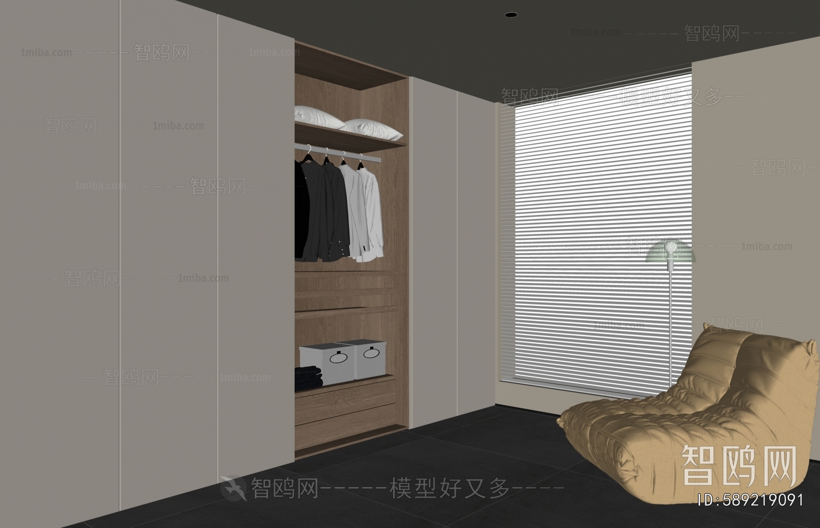 Modern Clothes Storage Area