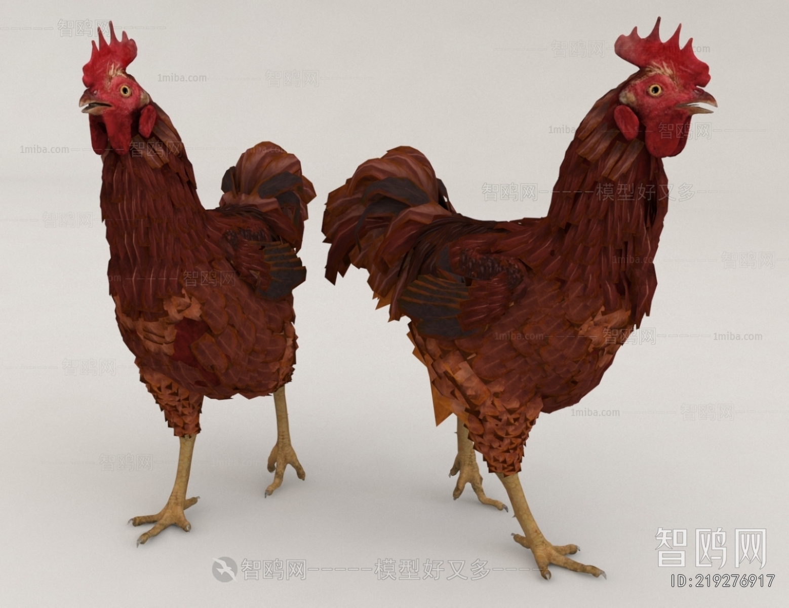 Modern Poultry Animal