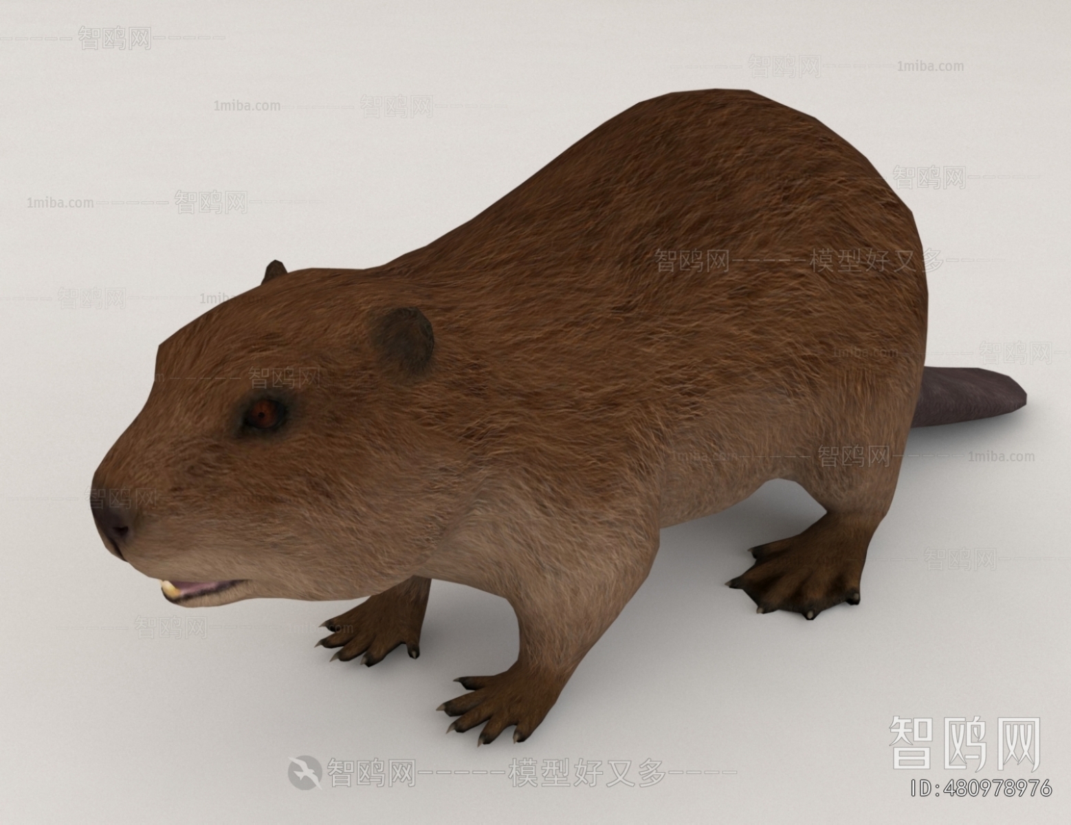 Modern Mammal