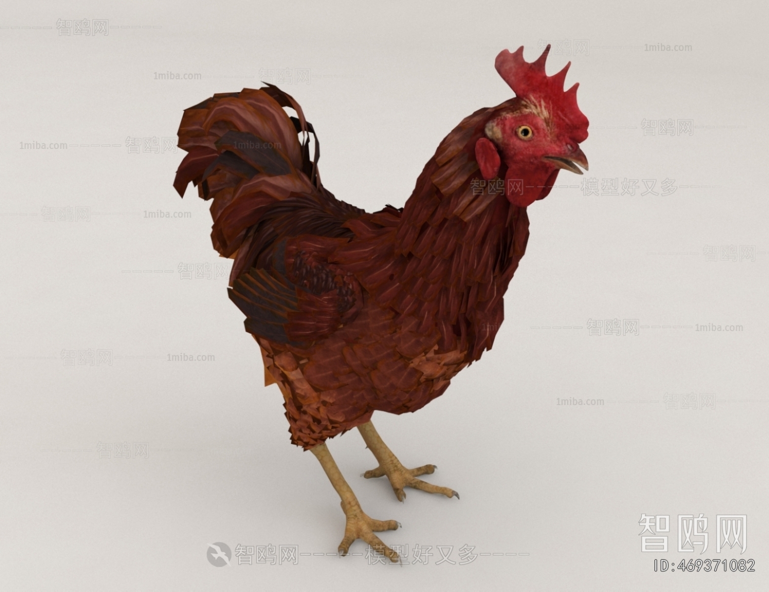 Modern Poultry Animal