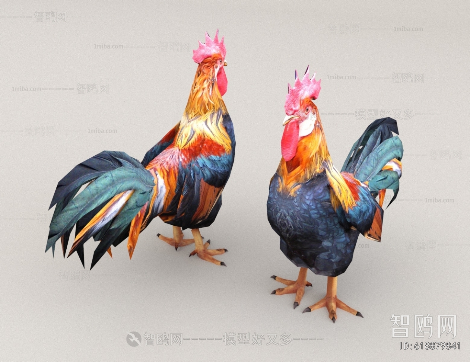 Modern Poultry Animal