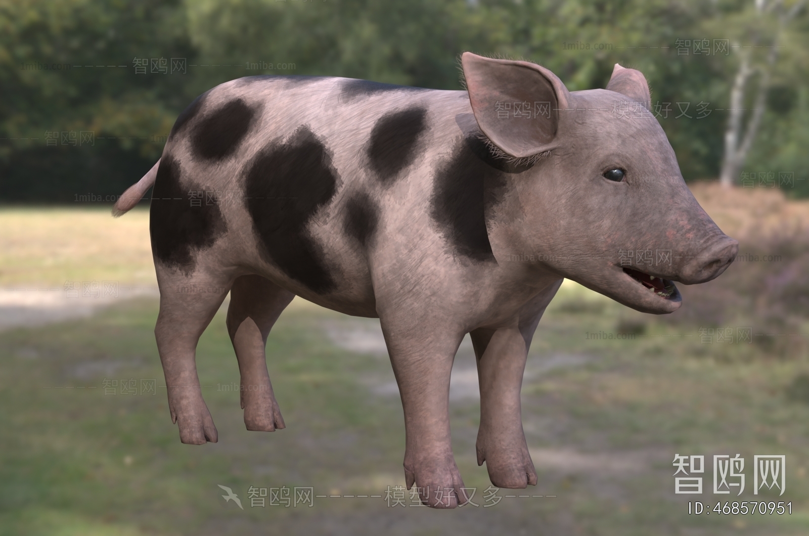 Modern Animal Pig