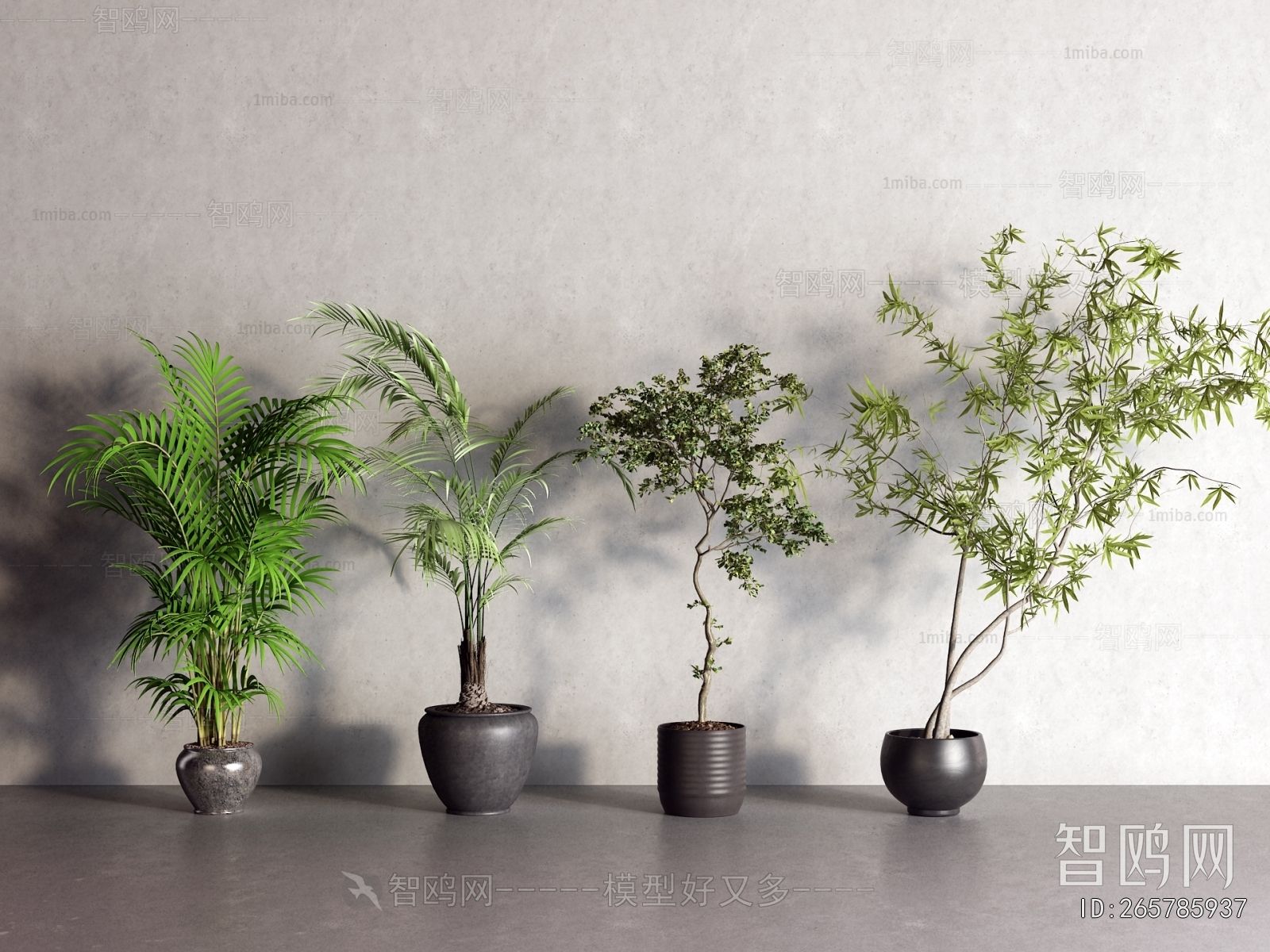 Modern Ground Green Plant Potted Plants