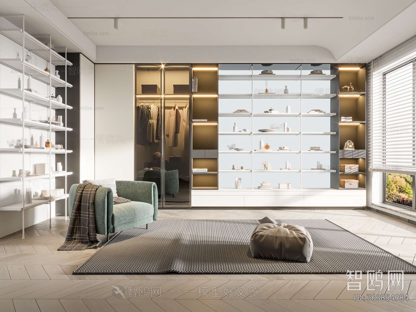 Modern Clothes Storage Area