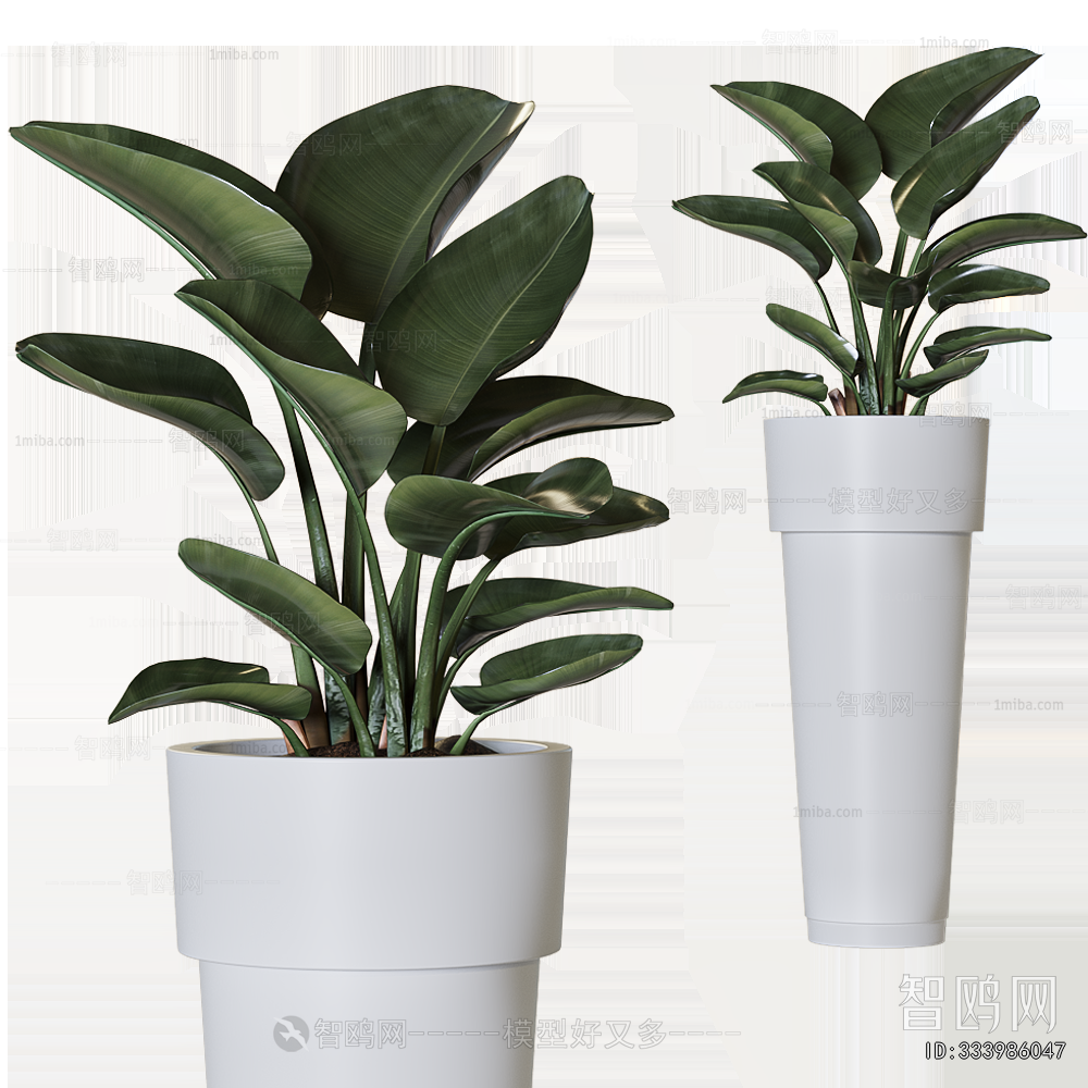 Modern Ground Green Plant Potted Plants