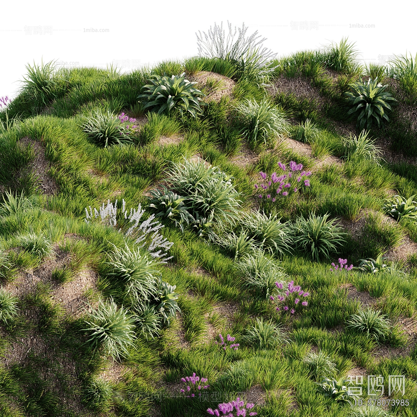 Modern Flowers And Grass