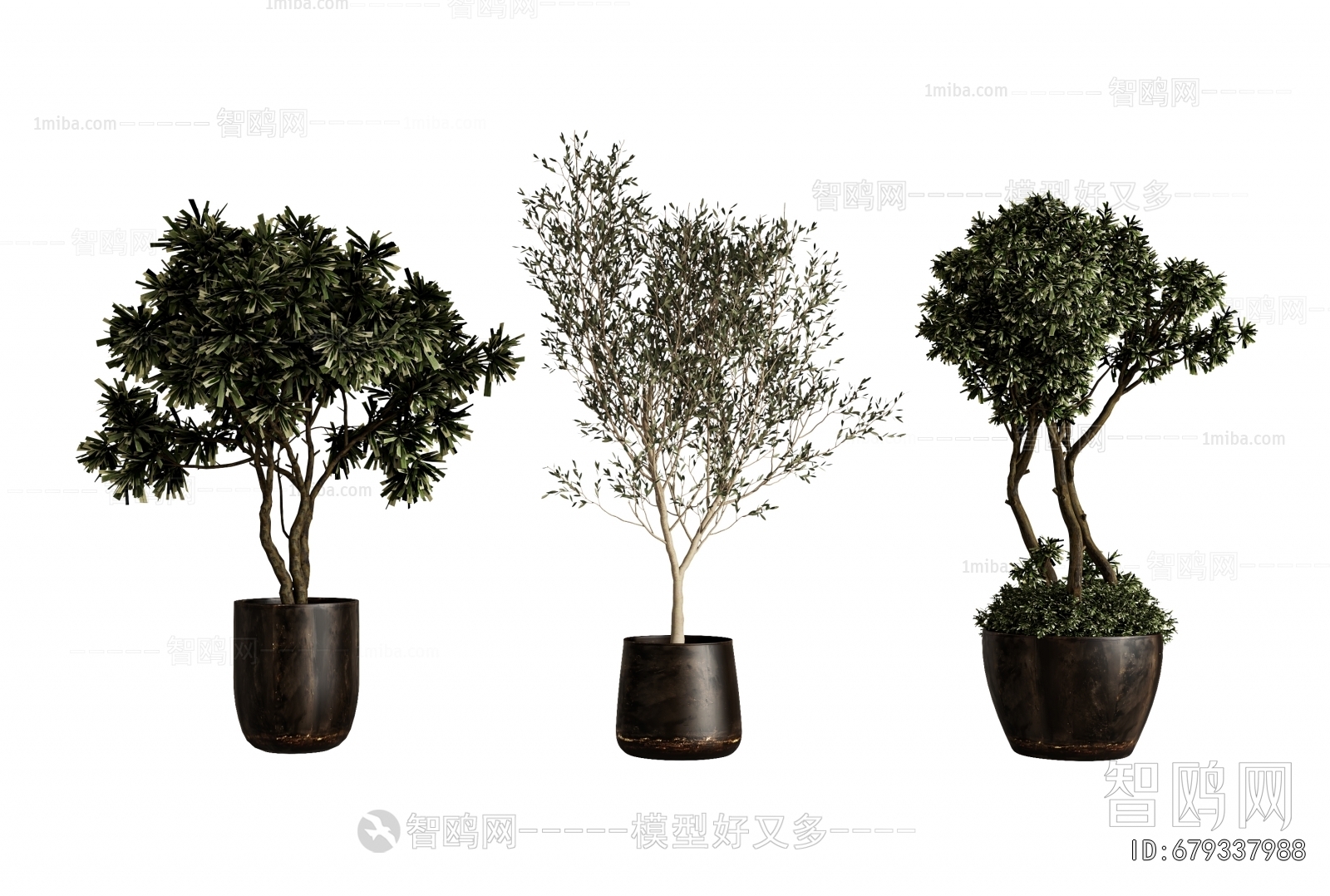 Modern Ground Green Plant Potted Plants