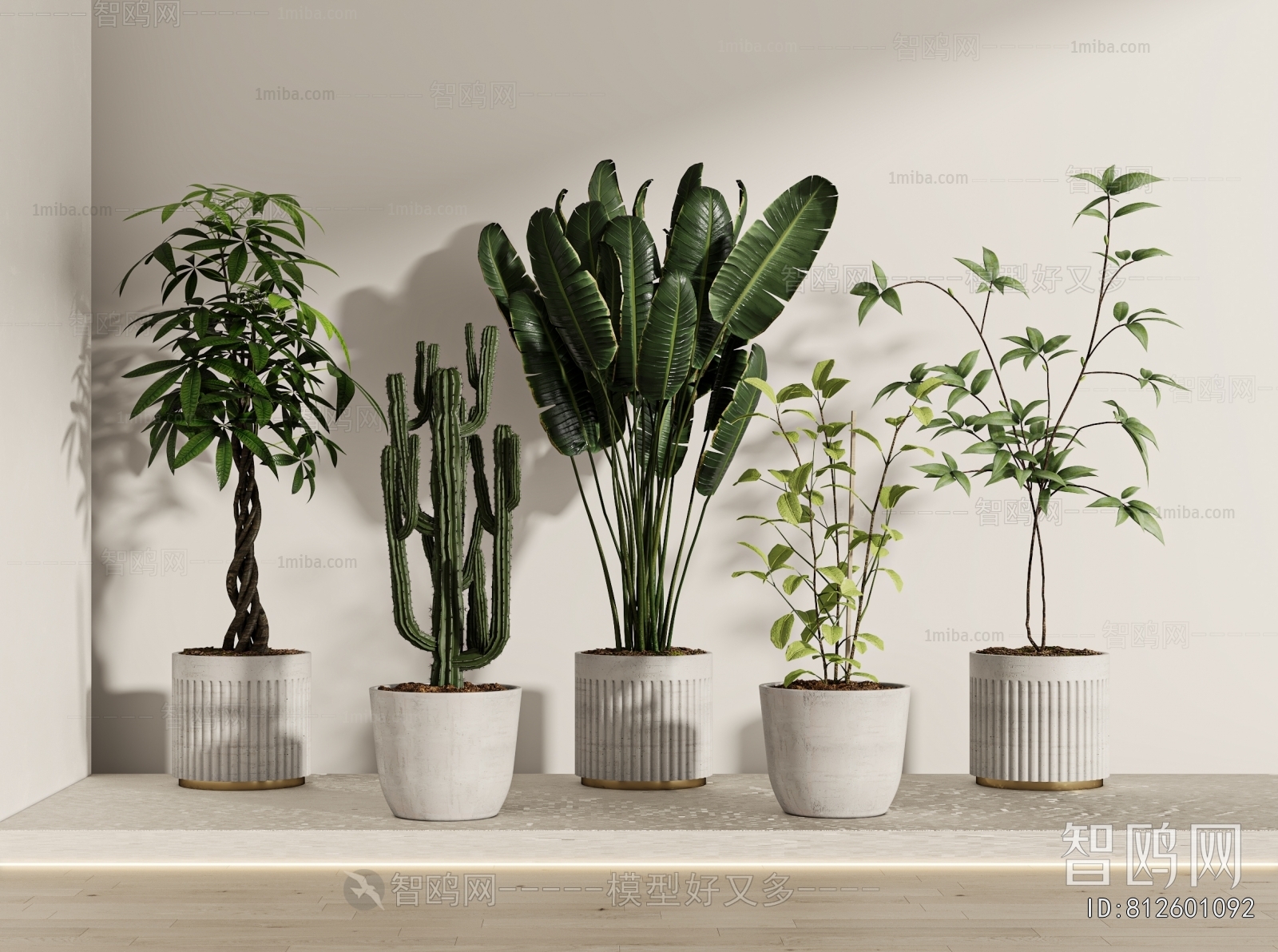 Modern Ground Green Plant Potted Plants