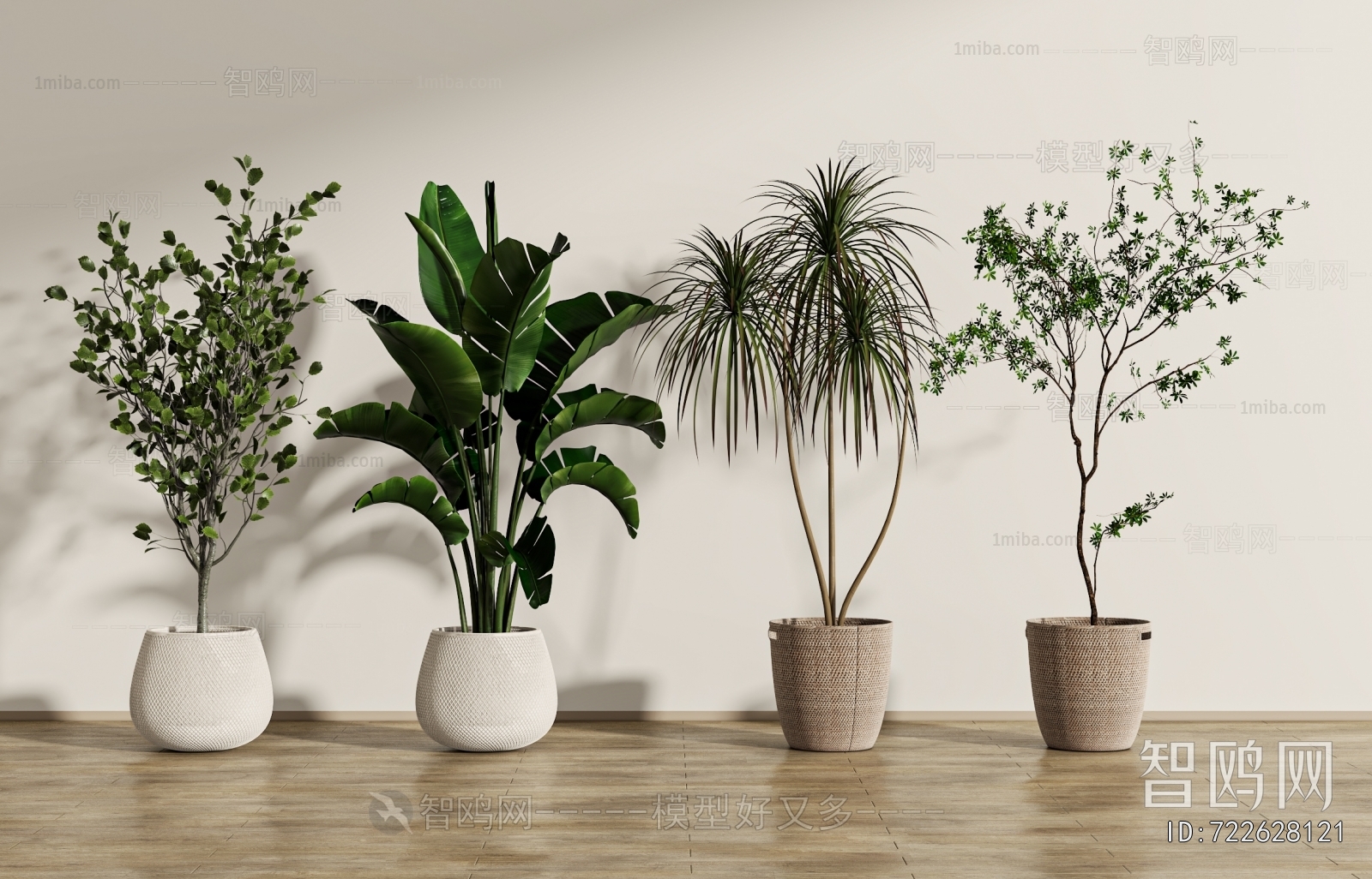 Modern Ground Green Plant Potted Plants